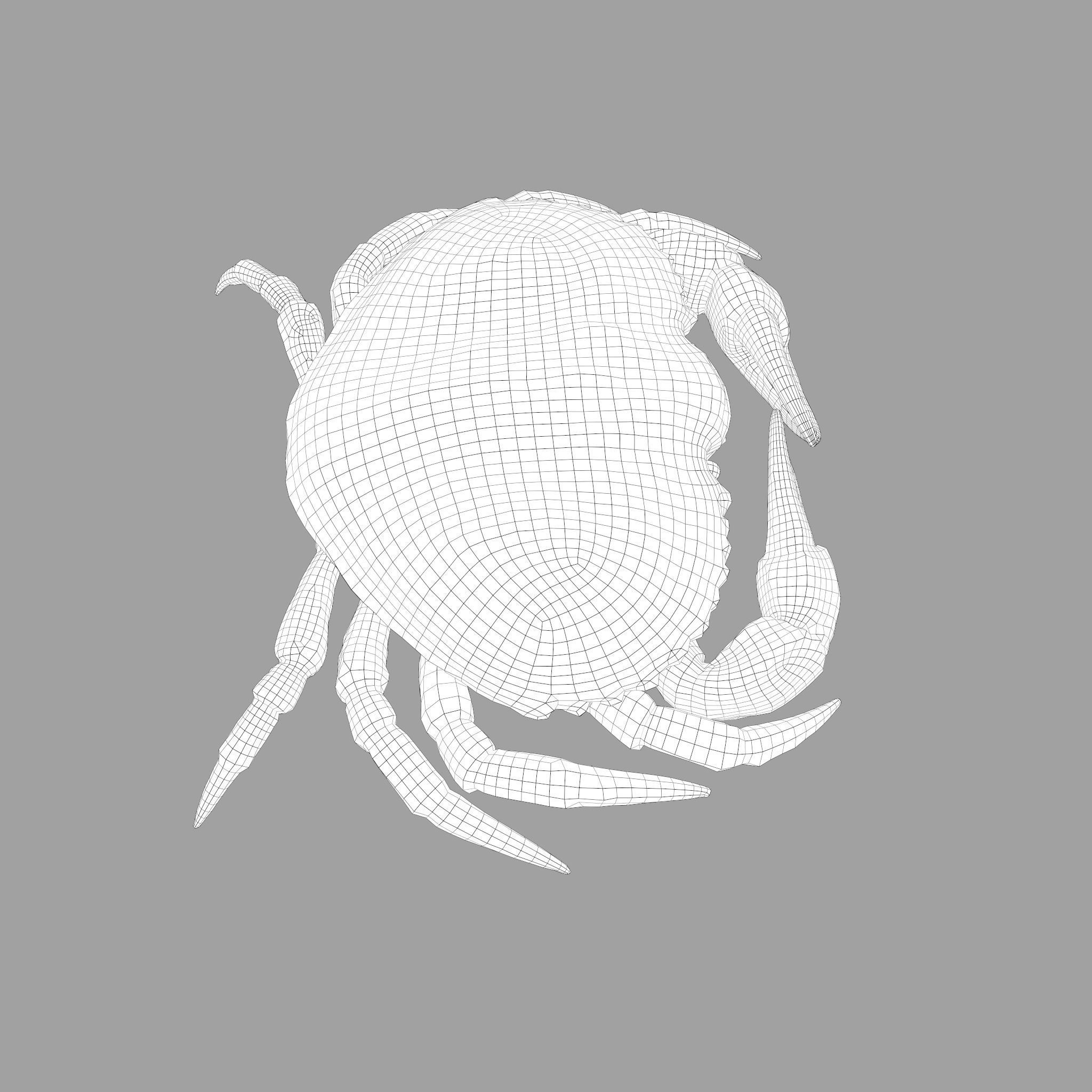 Crab Big Red  Low-poly 3D model_35