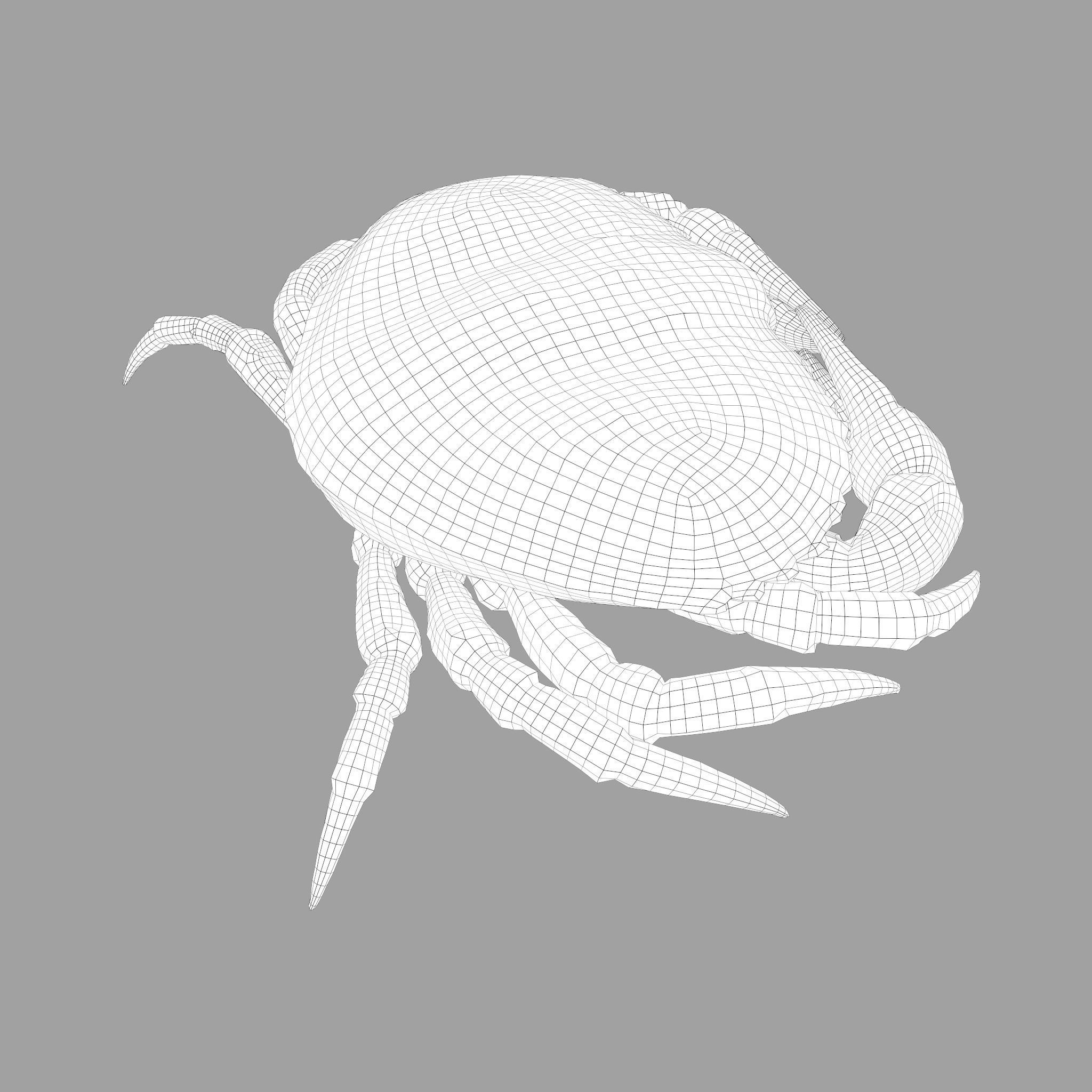 Crab Big Red  Low-poly 3D model_45