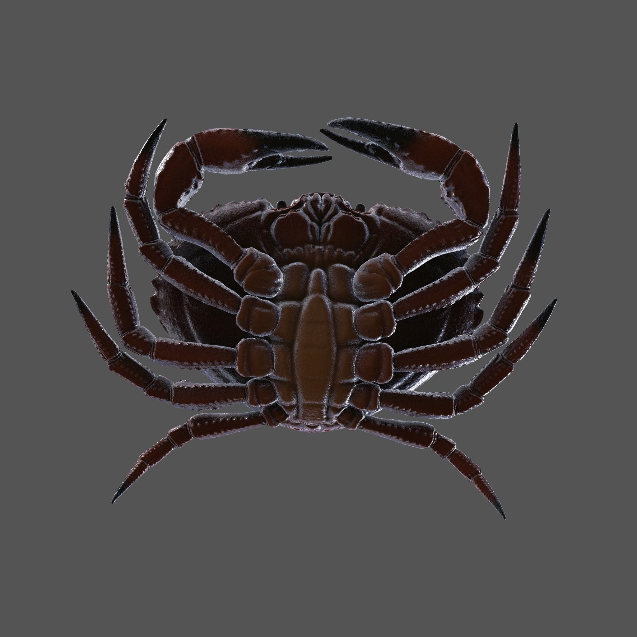 Crab Big Red  Low-poly 3D model_5