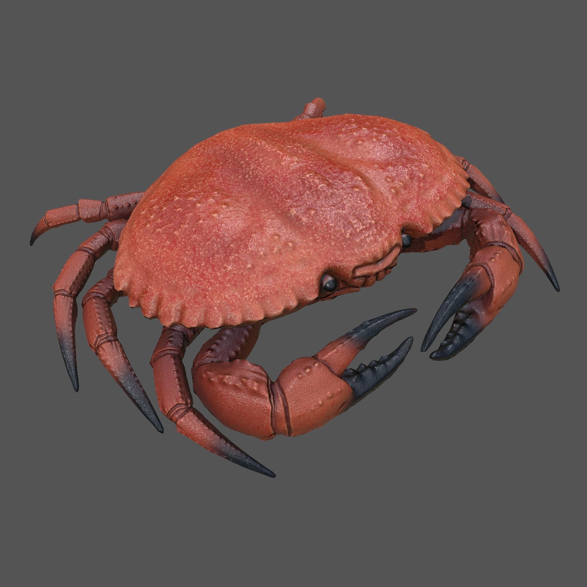 Crab Big Red  Low-poly 3D model_7