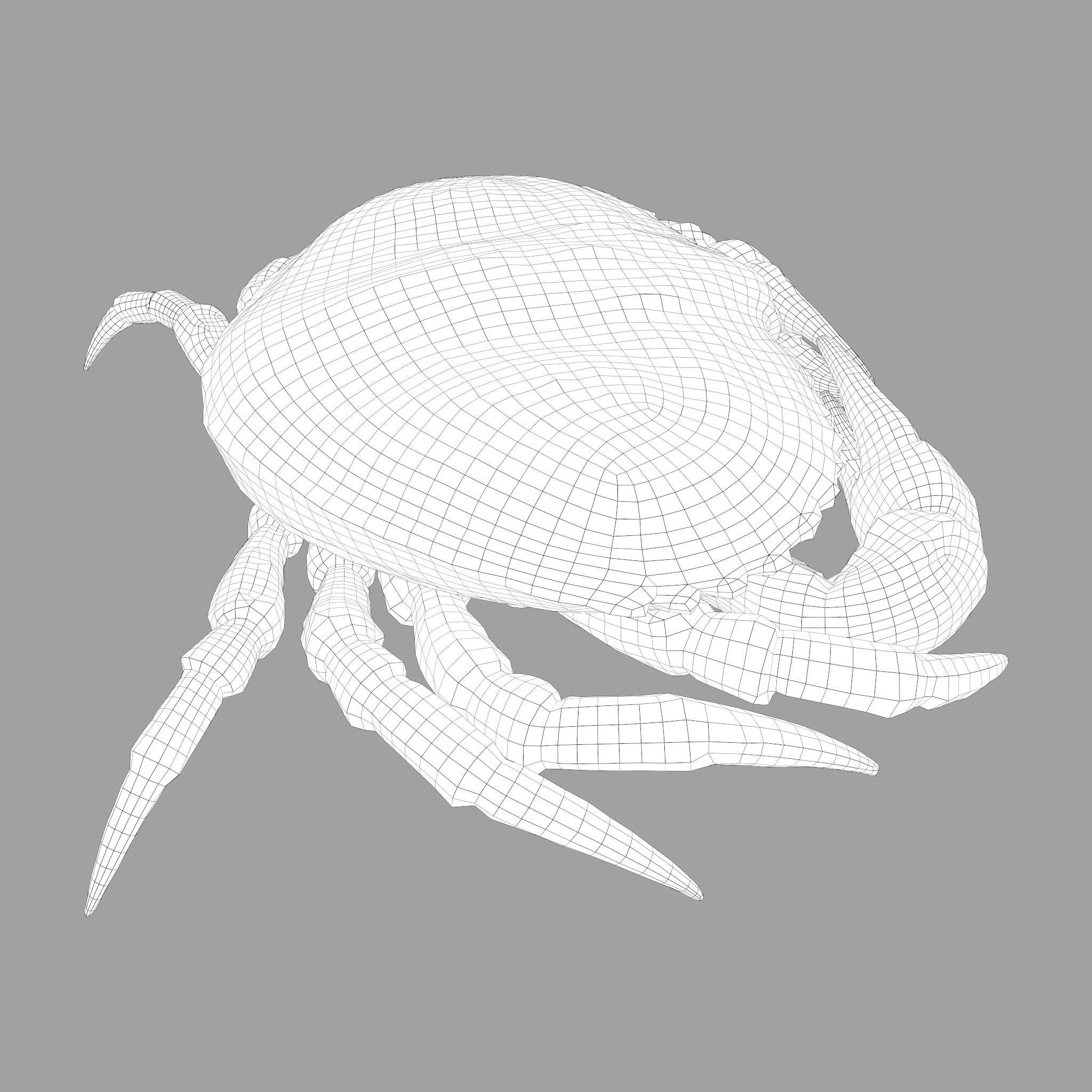 Crab Big Red  Low-poly 3D model_41