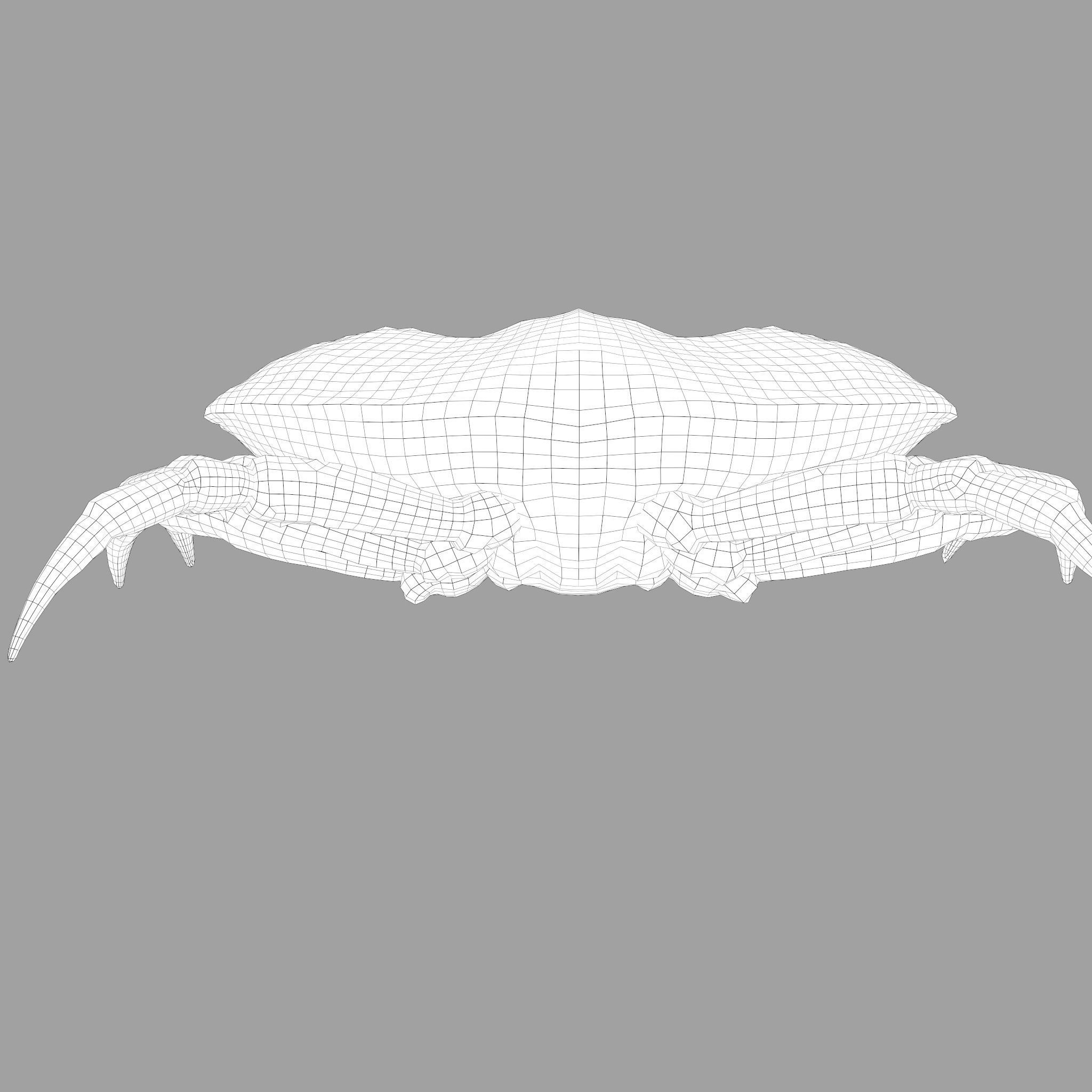 Crab Big Red  Low-poly 3D model_40