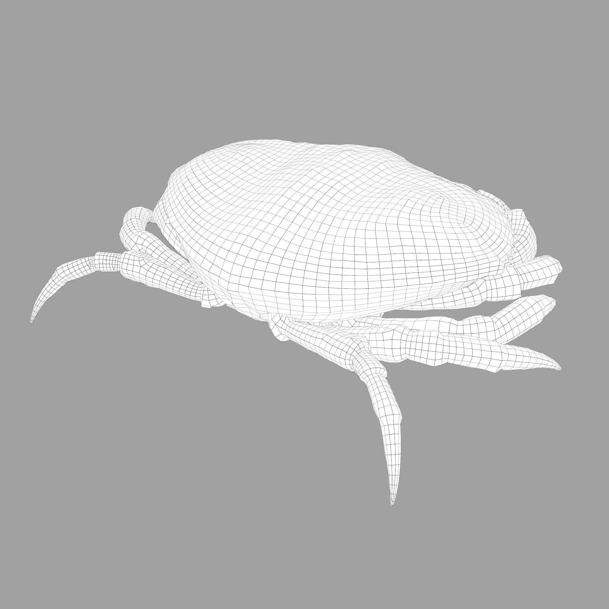 Crab Big Red  Low-poly 3D model_46