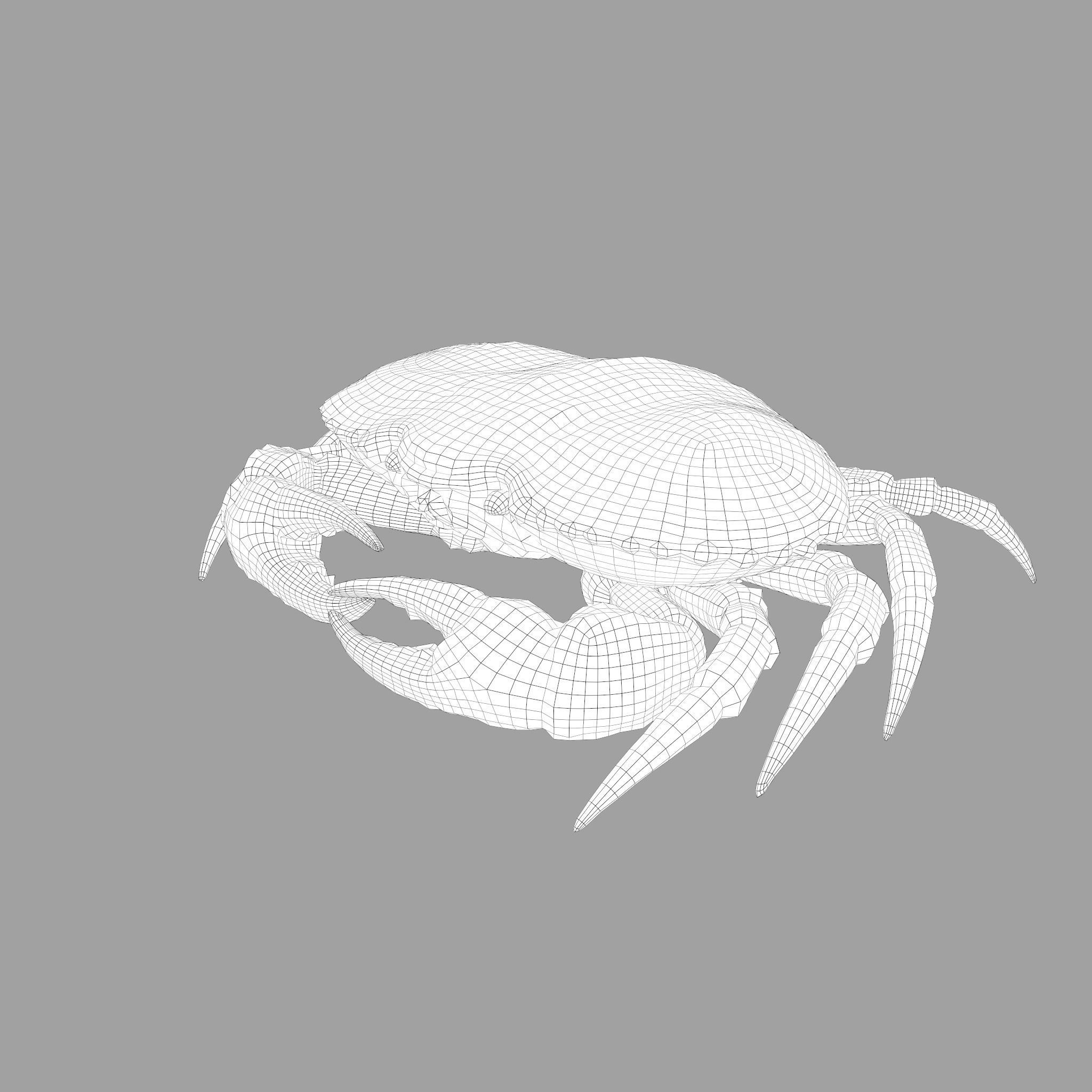 Crab Big Red  Low-poly 3D model_32