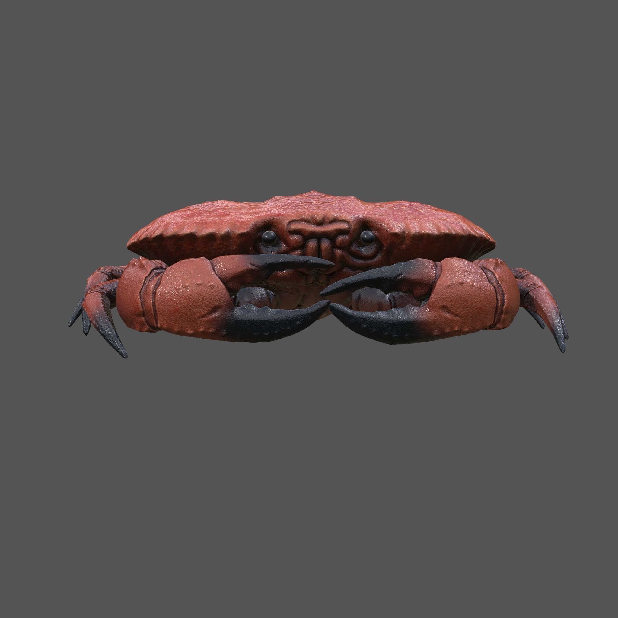 Crab Big Red  Low-poly 3D model_14