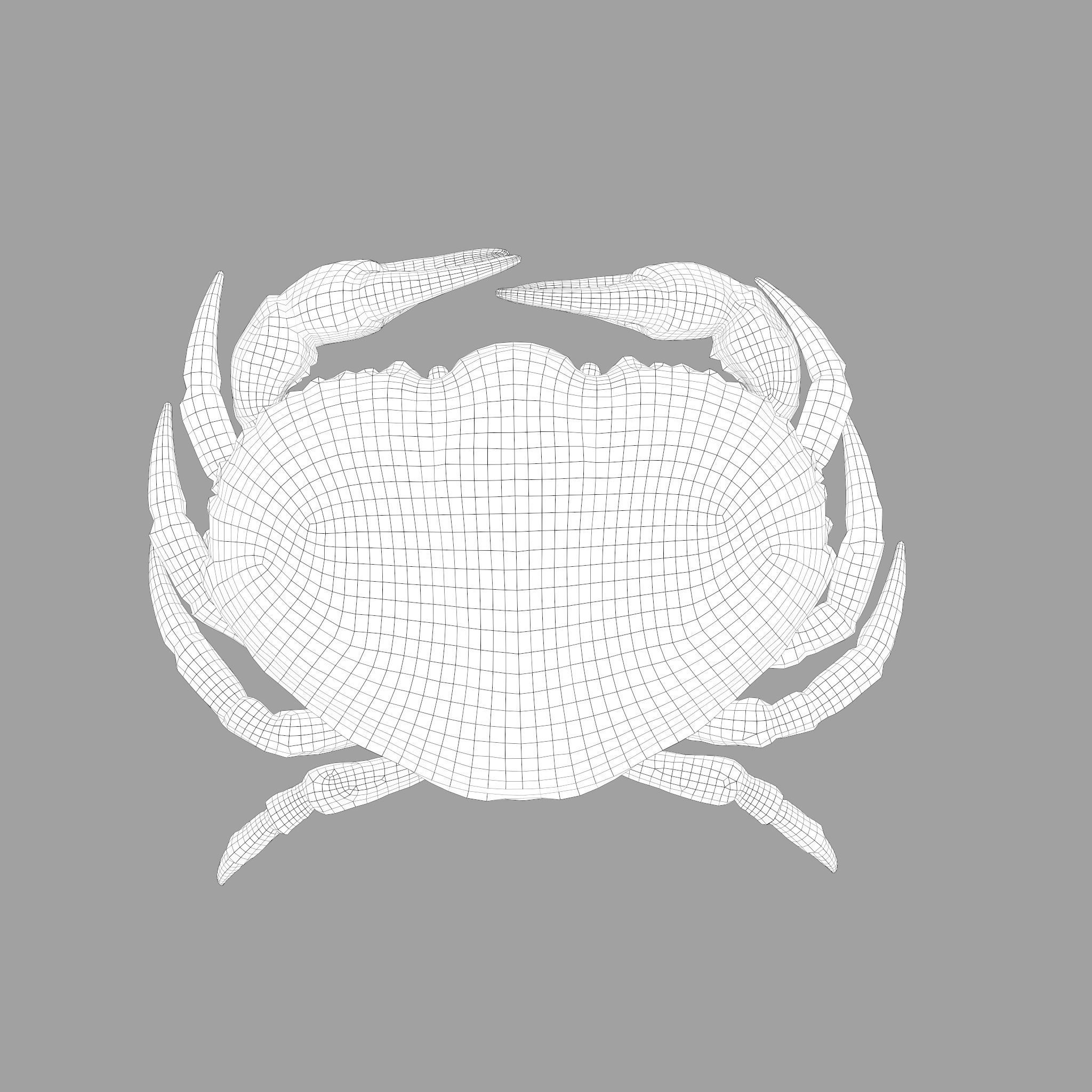 Crab Big Red  Low-poly 3D model_36