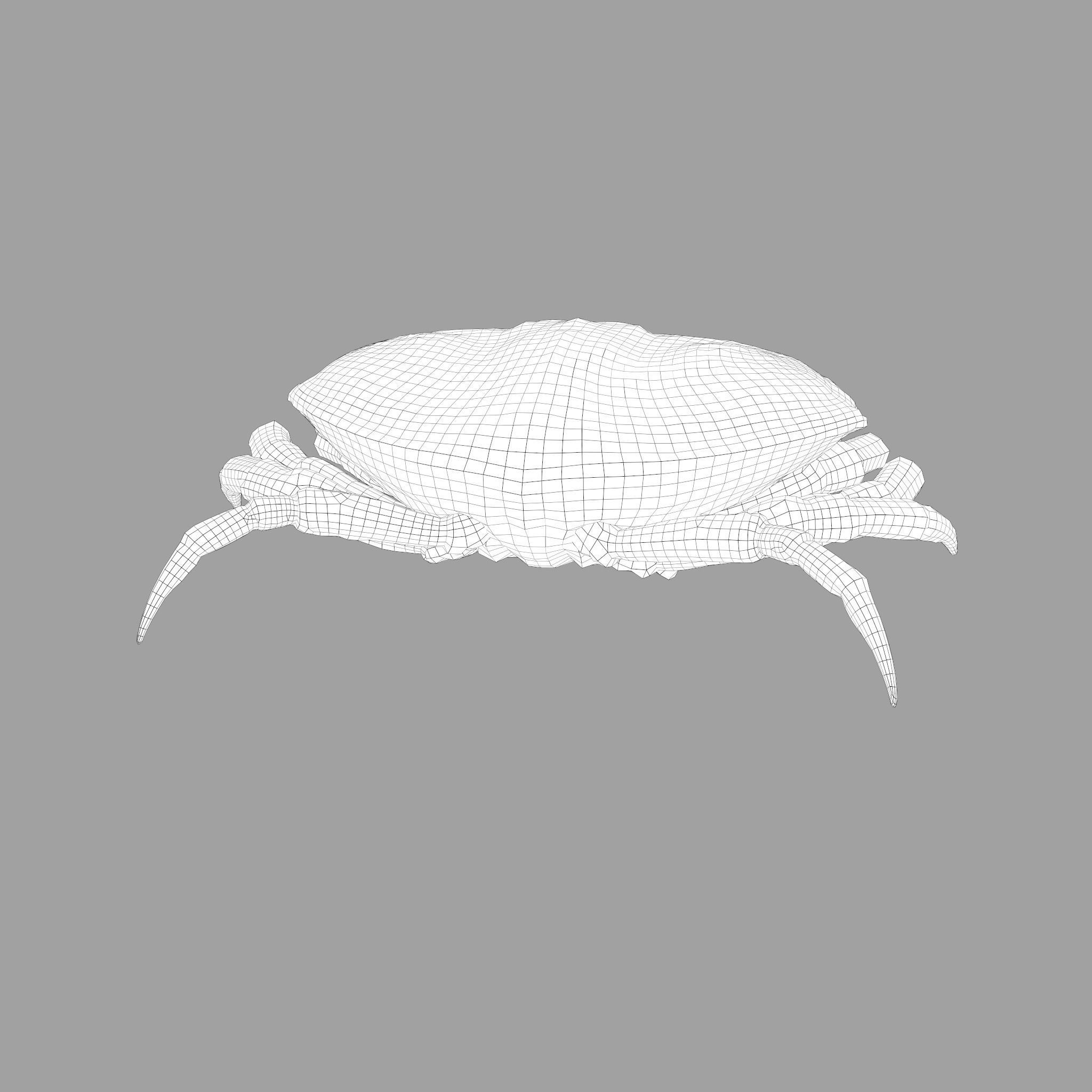 Crab Big Red  Low-poly 3D model_34