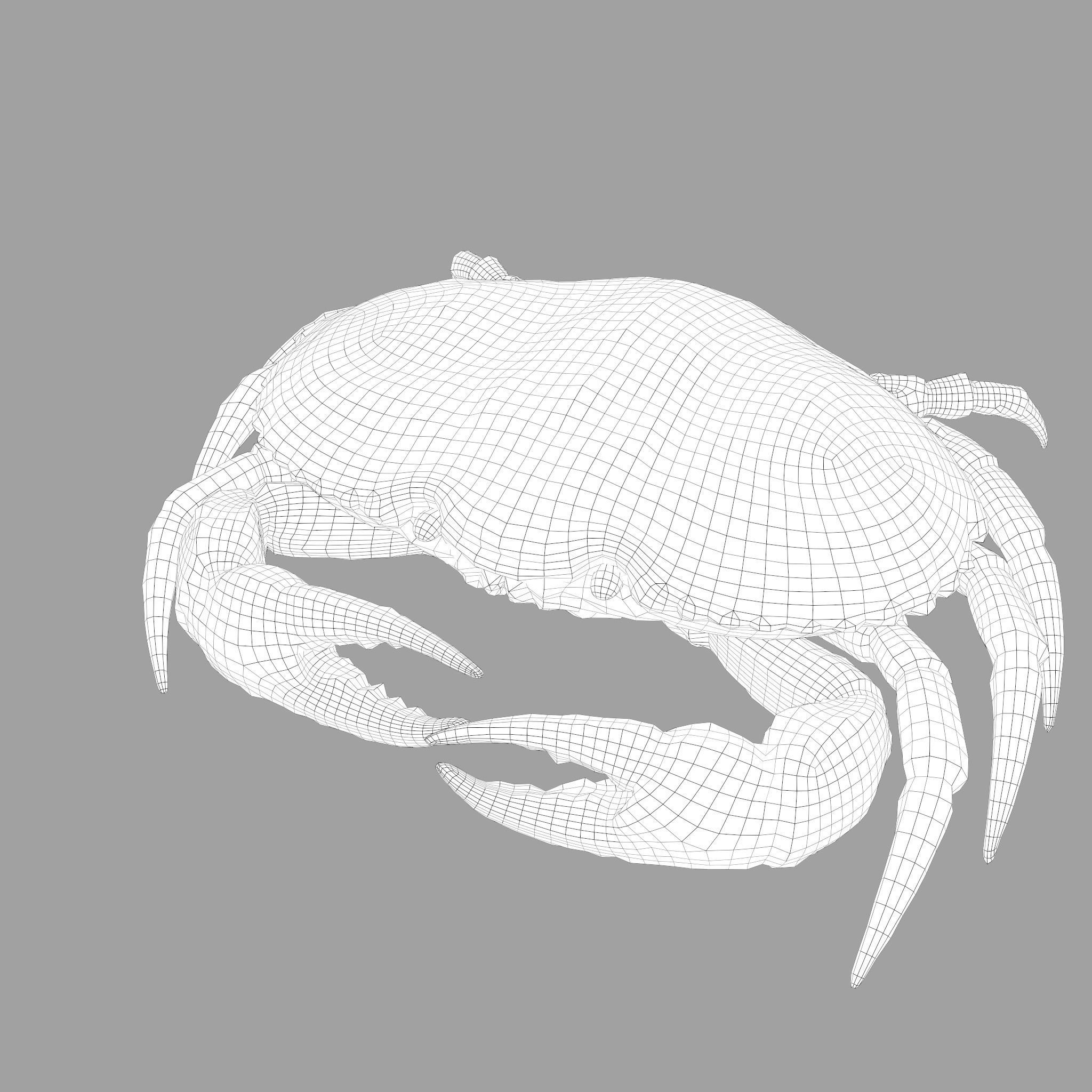 Crab Big Red  Low-poly 3D model_27