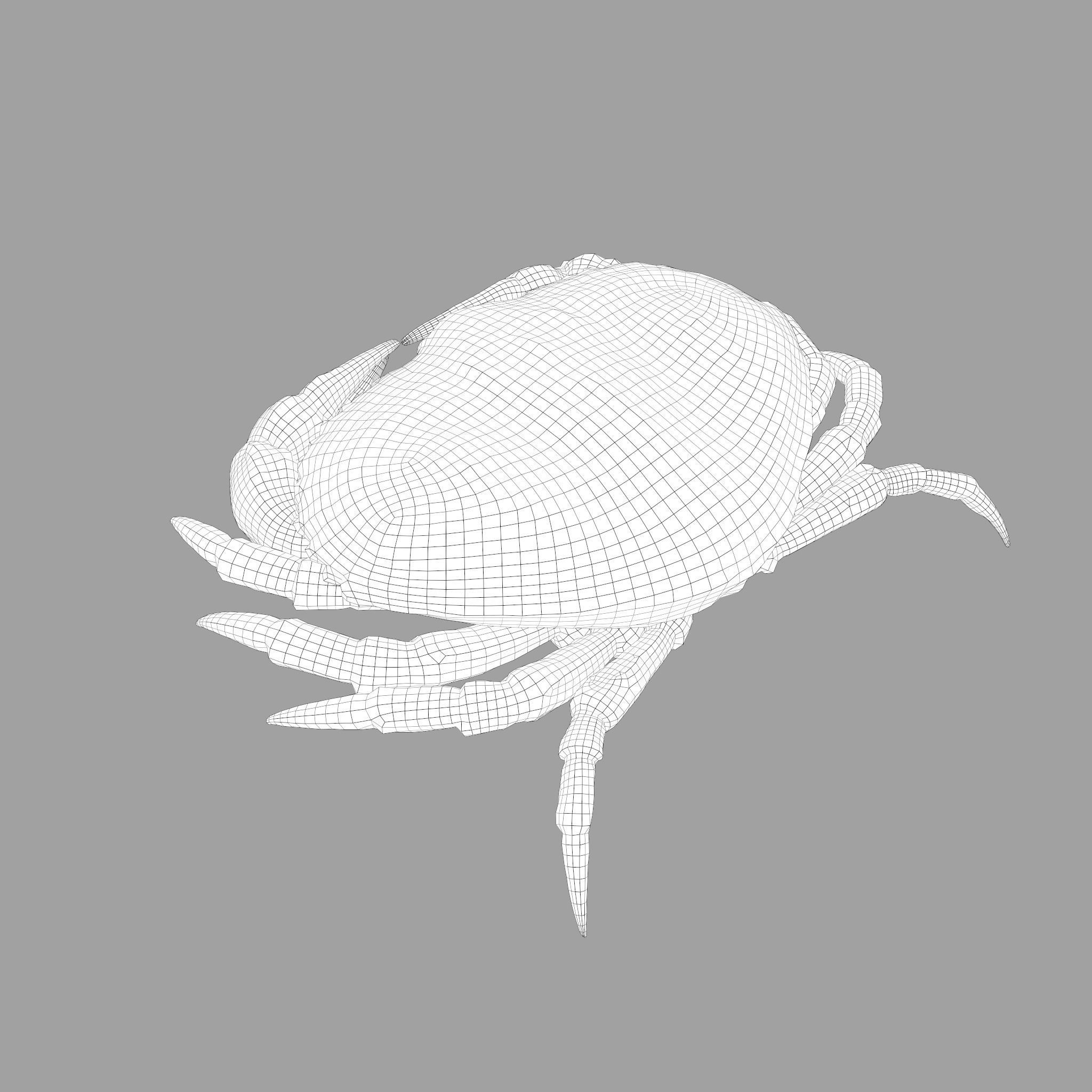 Crab Big Red  Low-poly 3D model_33