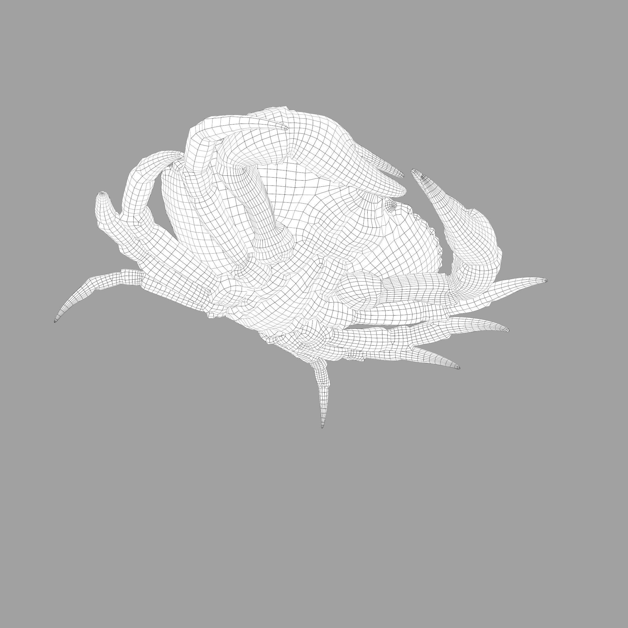 Crab Big Red  Low-poly 3D model_31