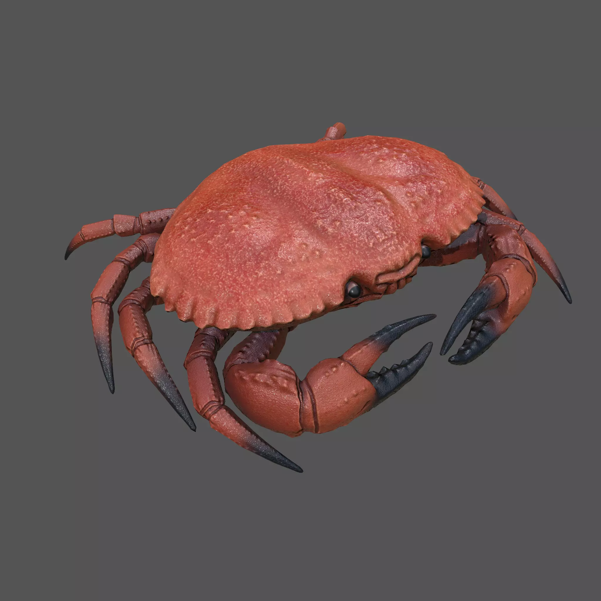 Crab Big Red  Low-poly 3D model_0