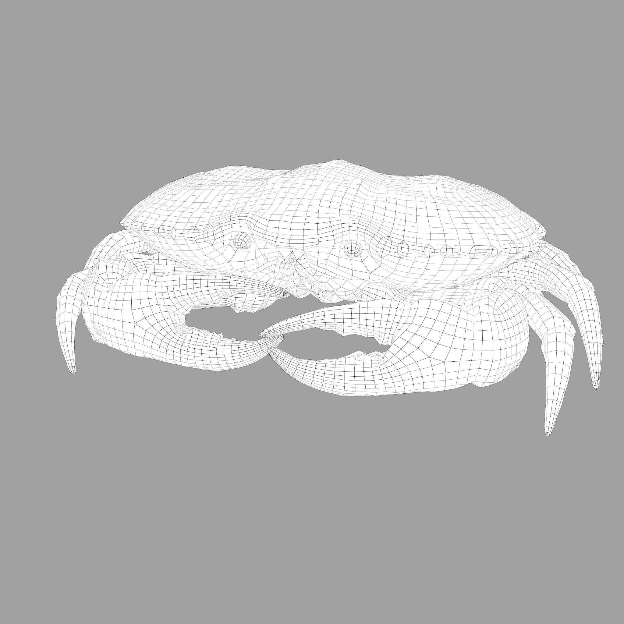 Crab Big Red  Low-poly 3D model_38