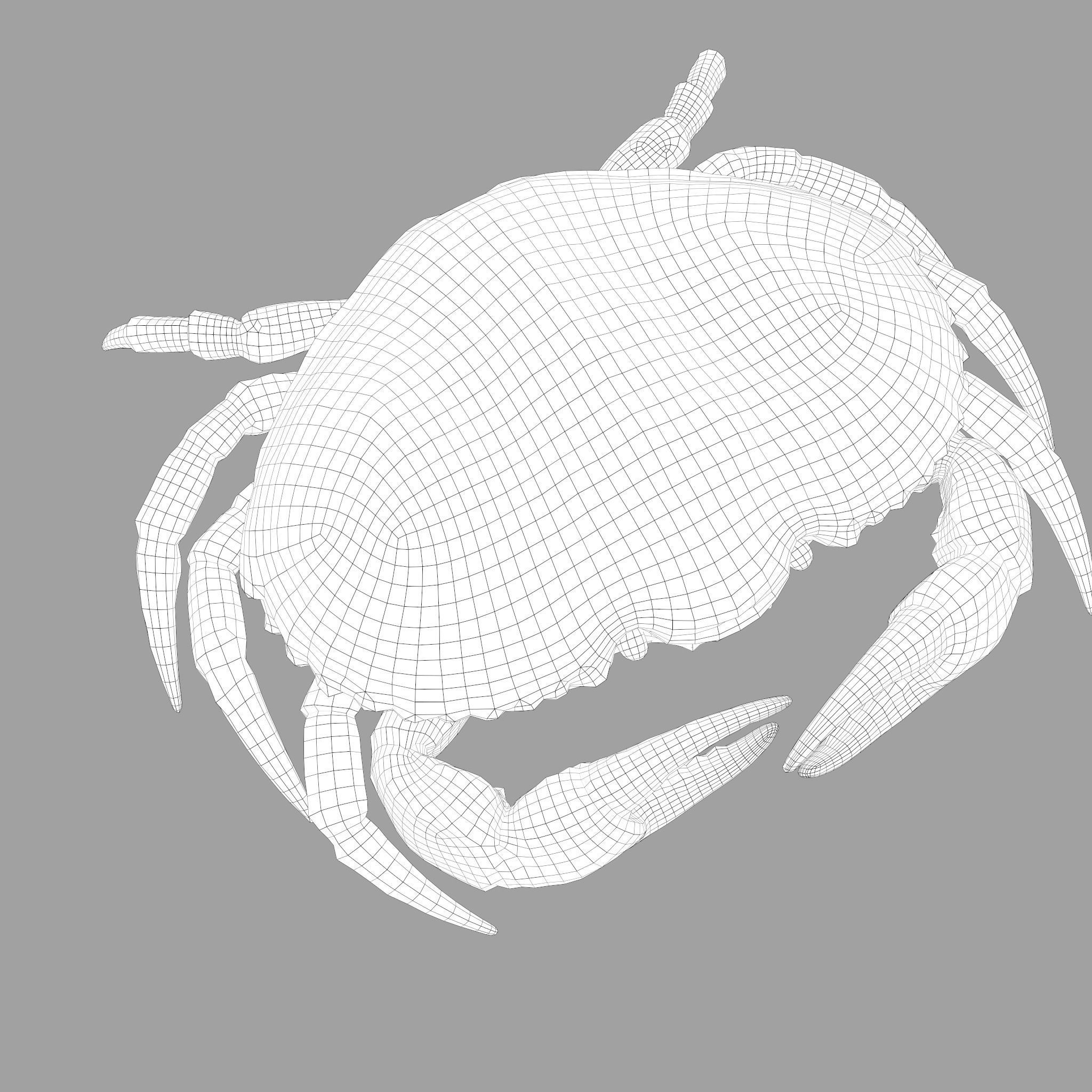Crab Big Red  Low-poly 3D model_42
