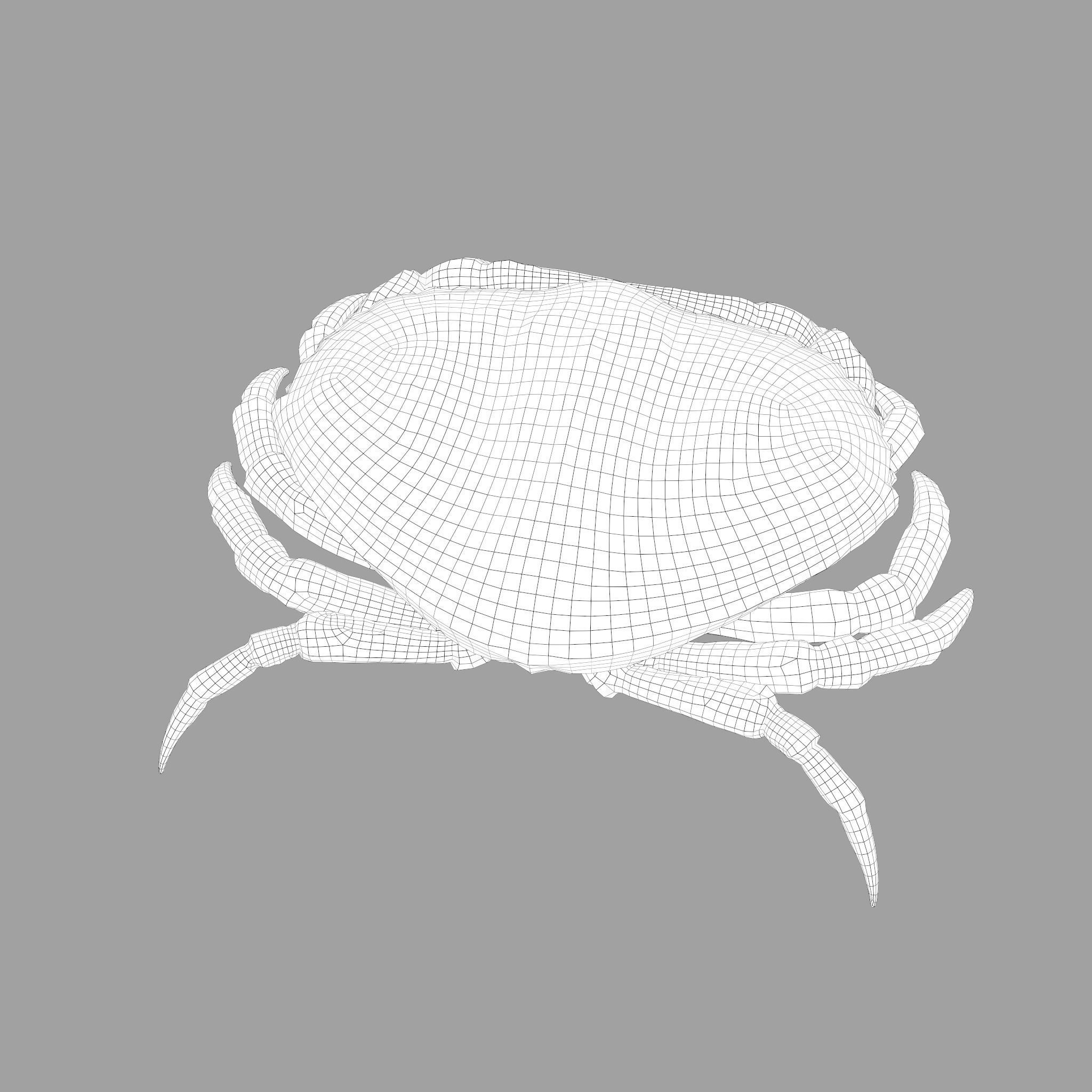 Crab Big Red  Low-poly 3D model_29