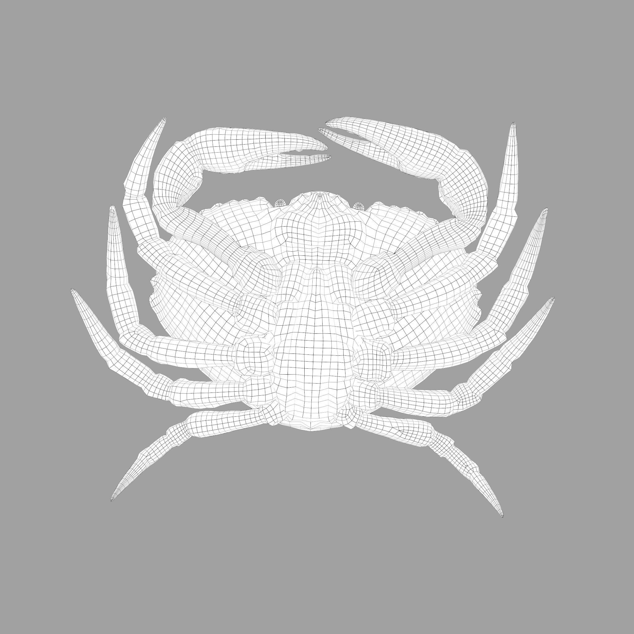 Crab Big Red  Low-poly 3D model_6