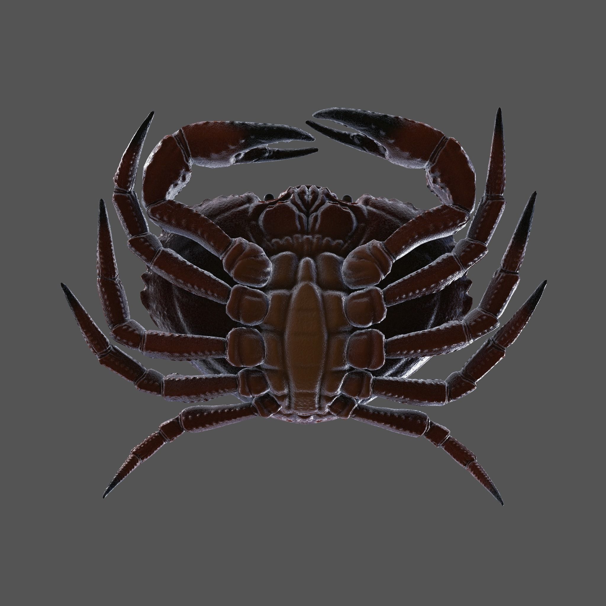 Crab Big Red  Low-poly 3D model_10