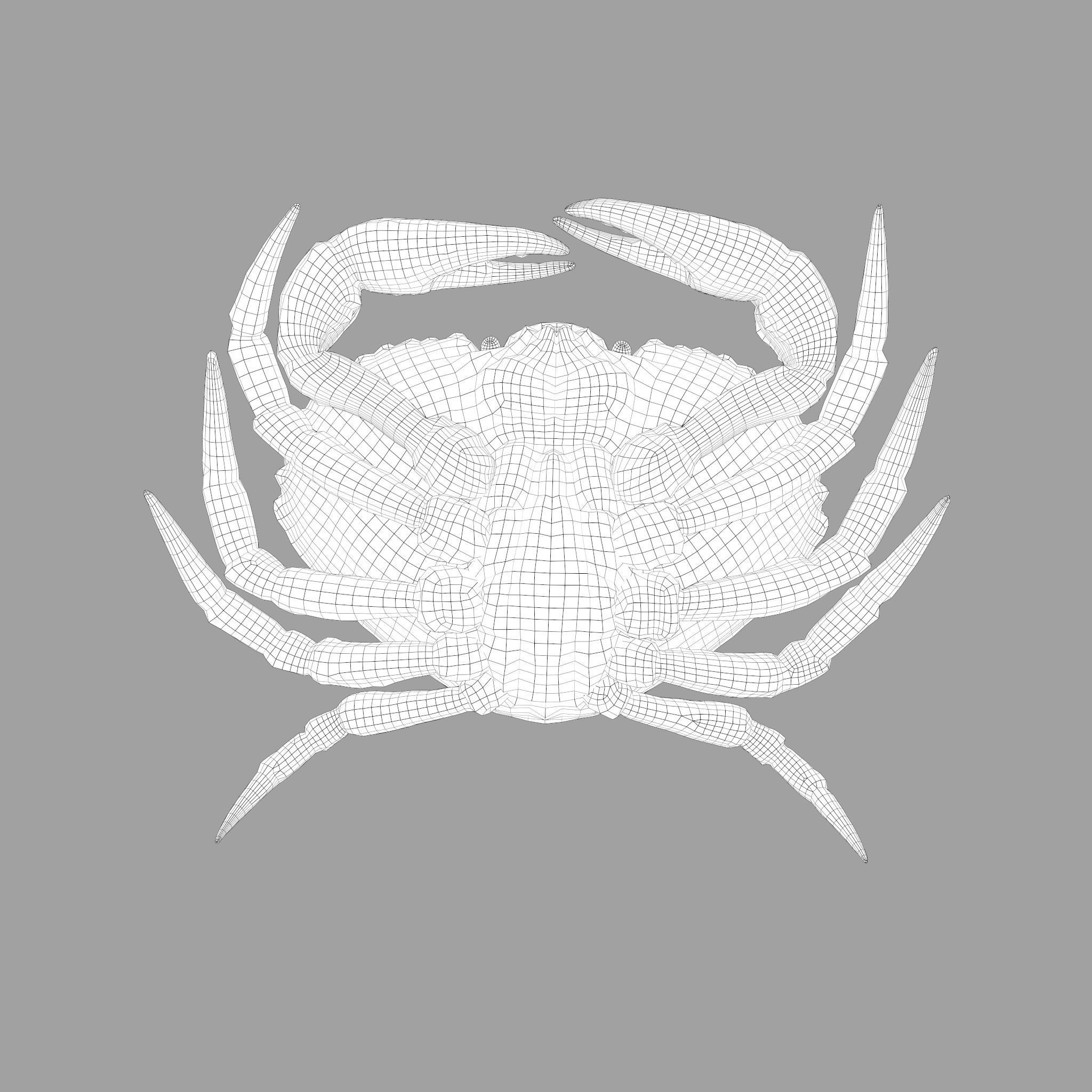 Crab Big Red  Low-poly 3D model_37