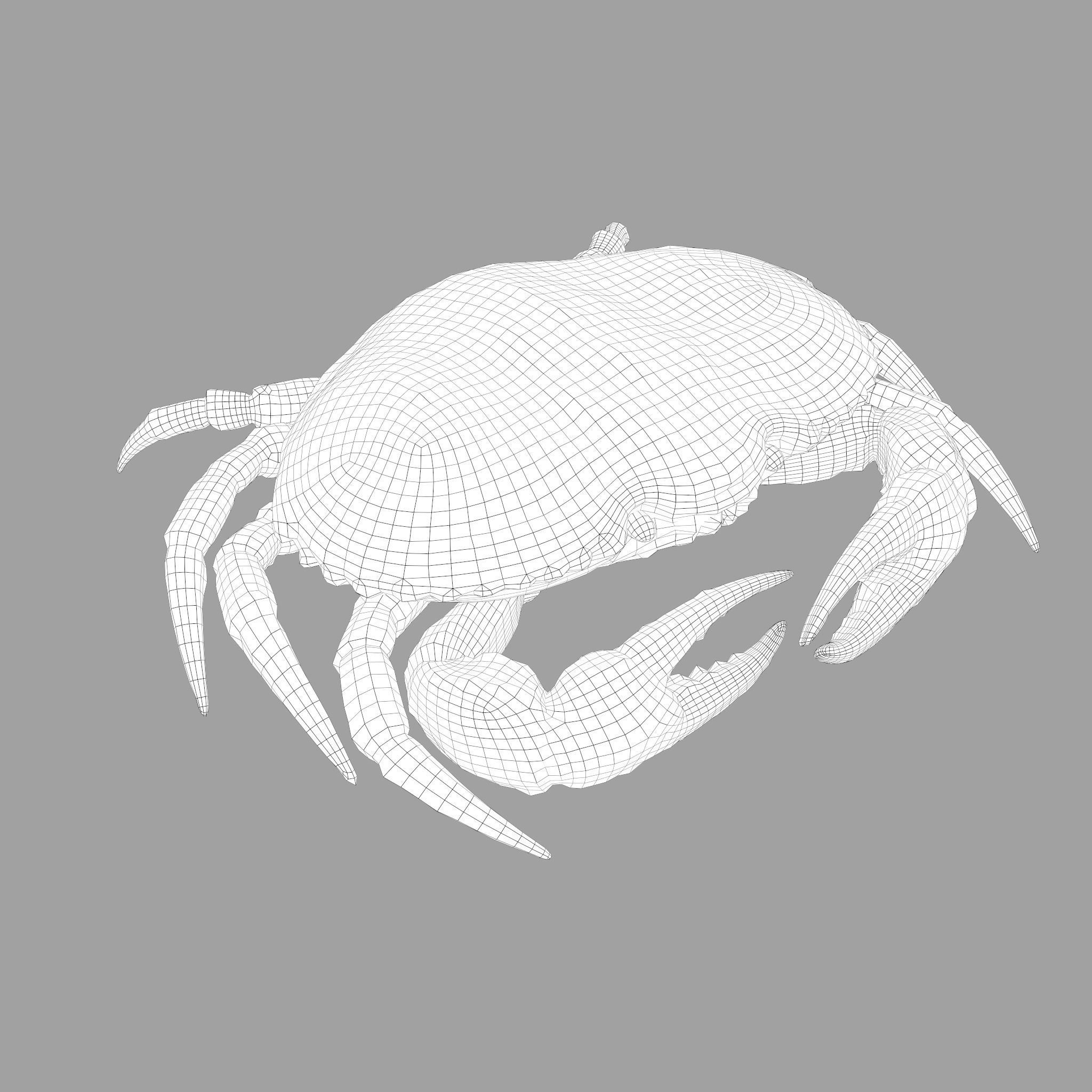 Crab Big Red  Low-poly 3D model_2