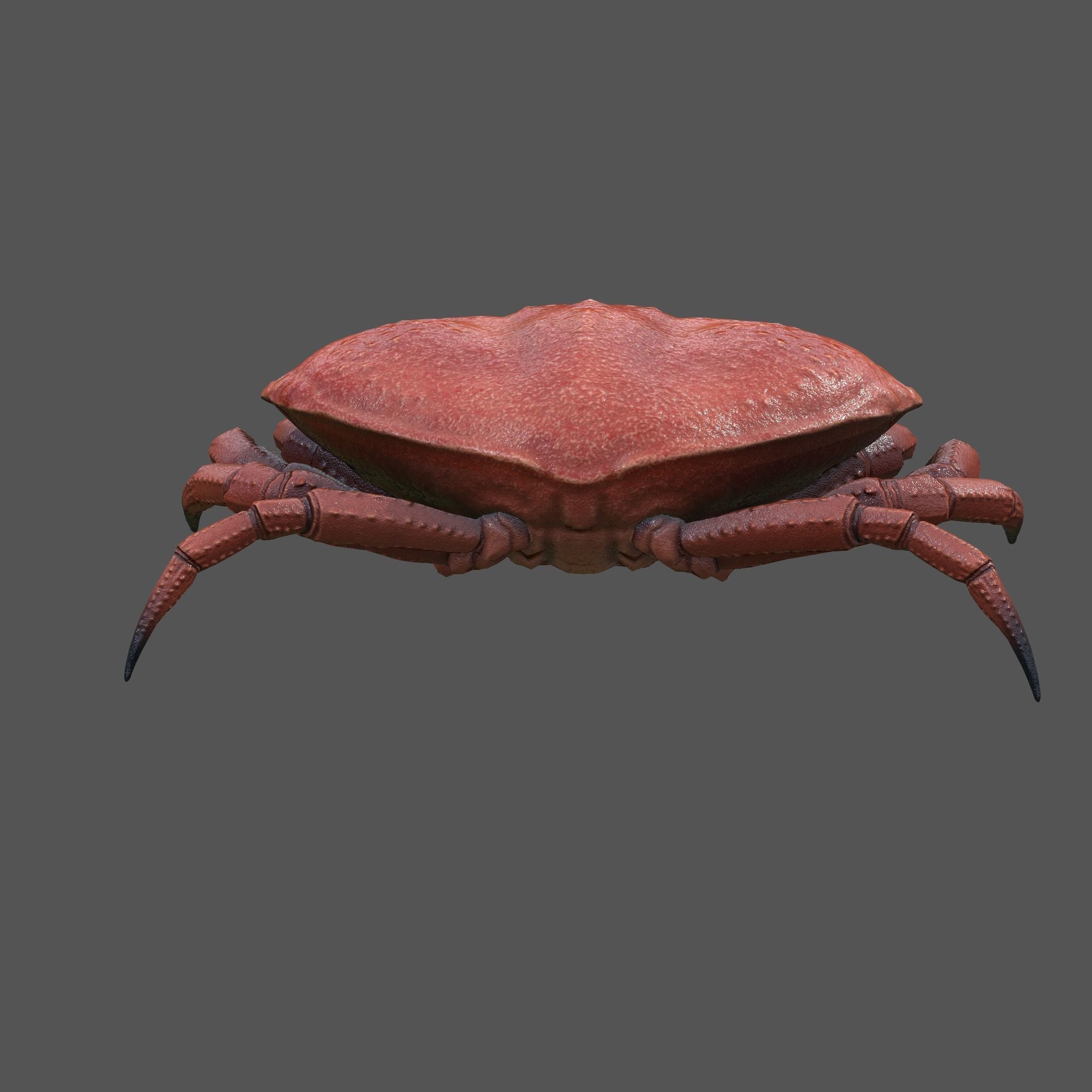 Crab Big Red  Low-poly 3D model_12