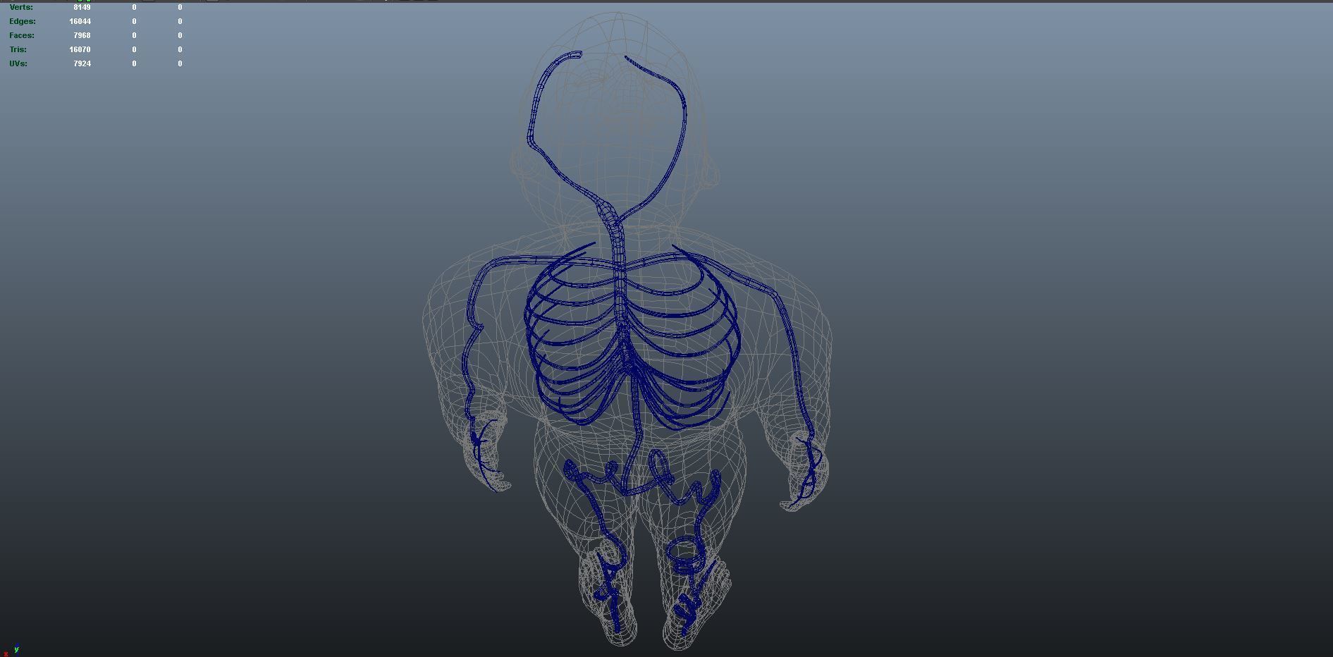 3d male human body arteries anatomy system 3D model_11