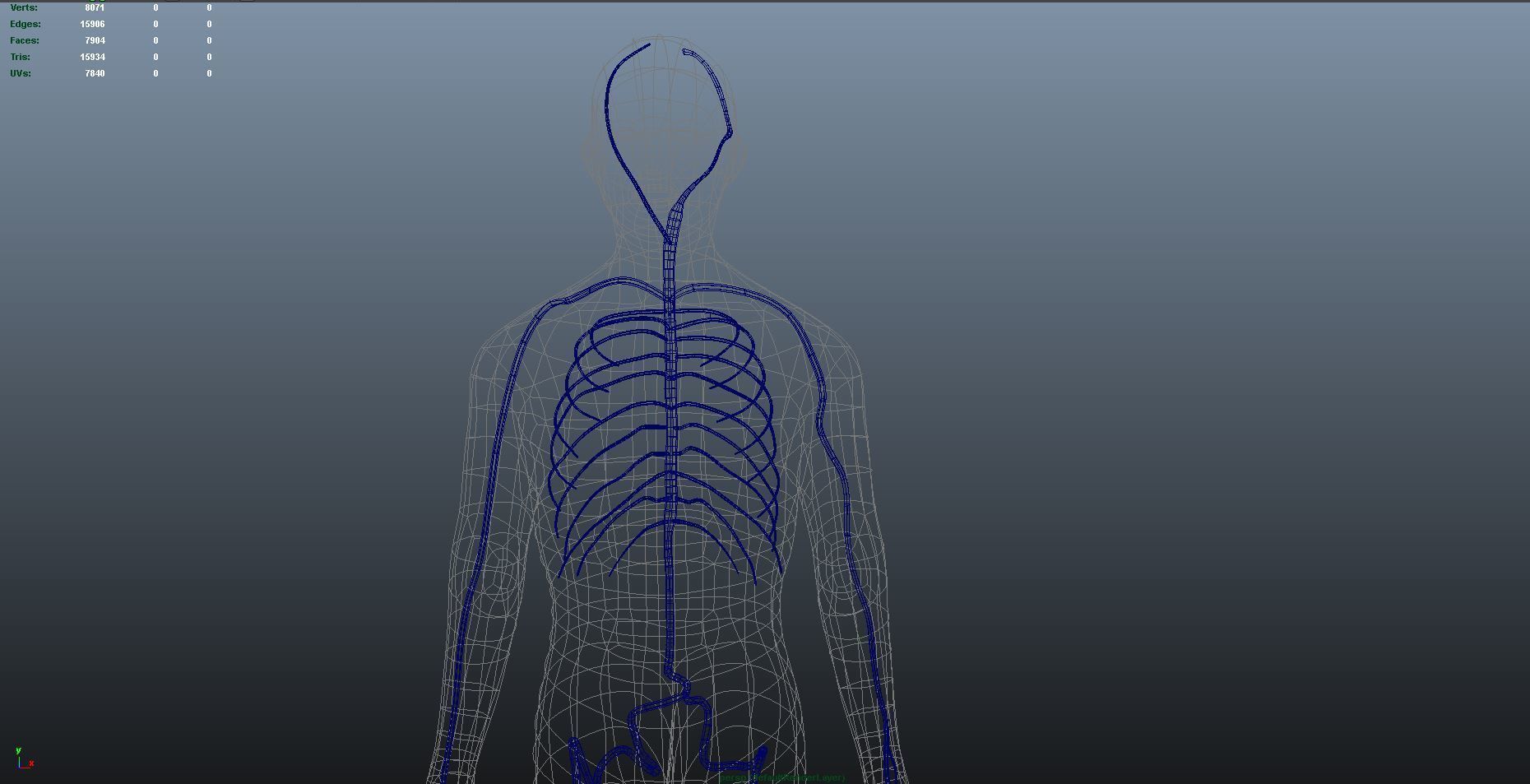 3d male human body arteries anatomy system 3D model_9