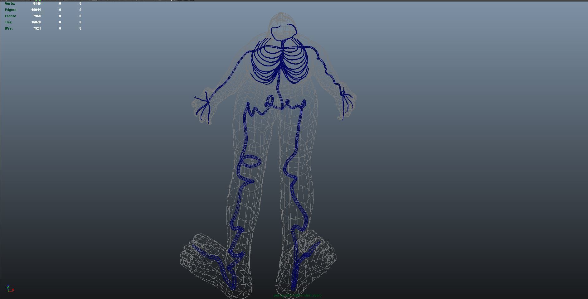 3d male human body arteries anatomy system 3D model_10