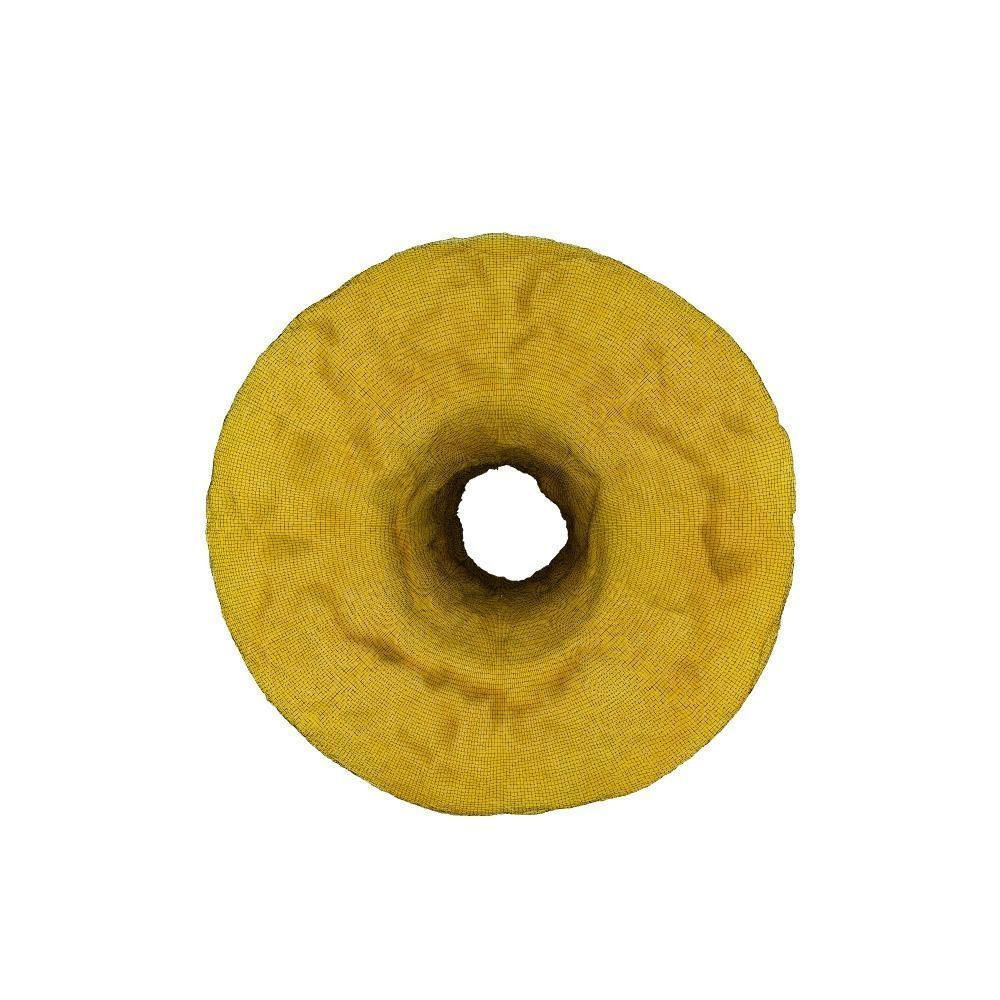 001 Donut plain 3D model with UV map 3D model_8