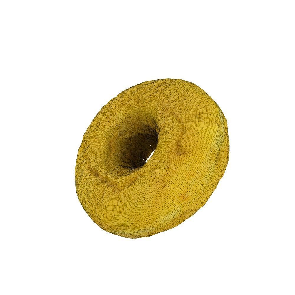 001 Donut plain 3D model with UV map 3D model_4