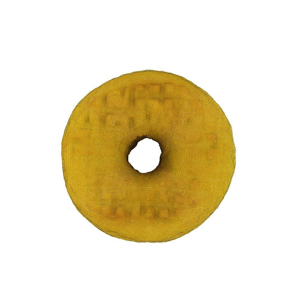 001 Donut plain 3D model with UV map 3D model_16