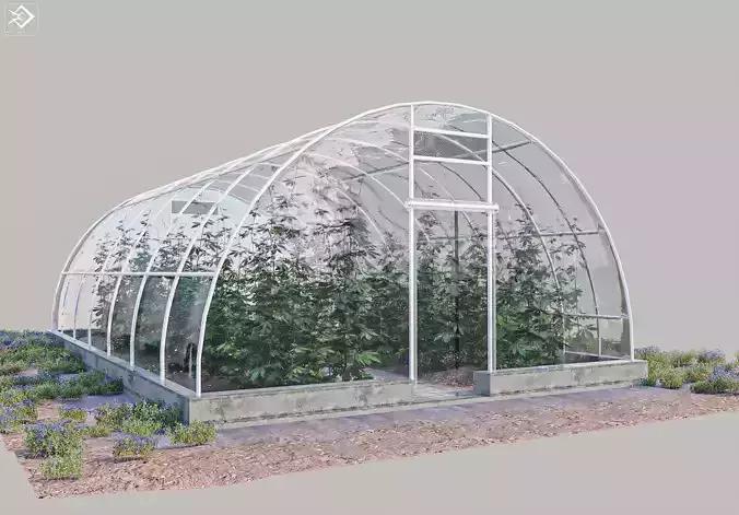 Cannabis Greenhouse with Plants 3D model