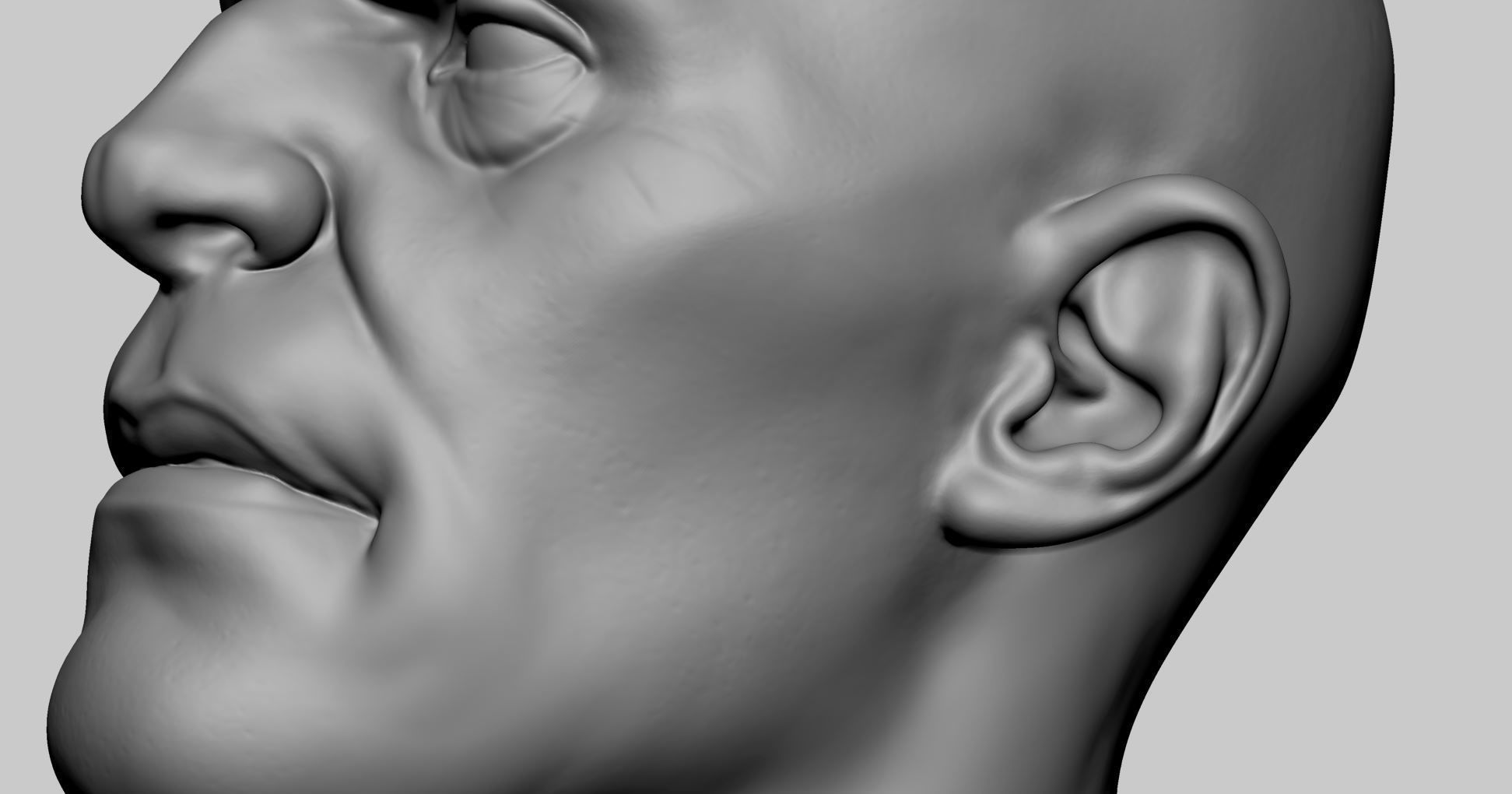 Male Head v7 3D model_6