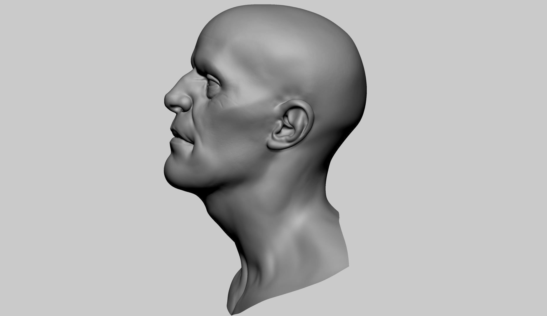 Male Head v7 3D model_5