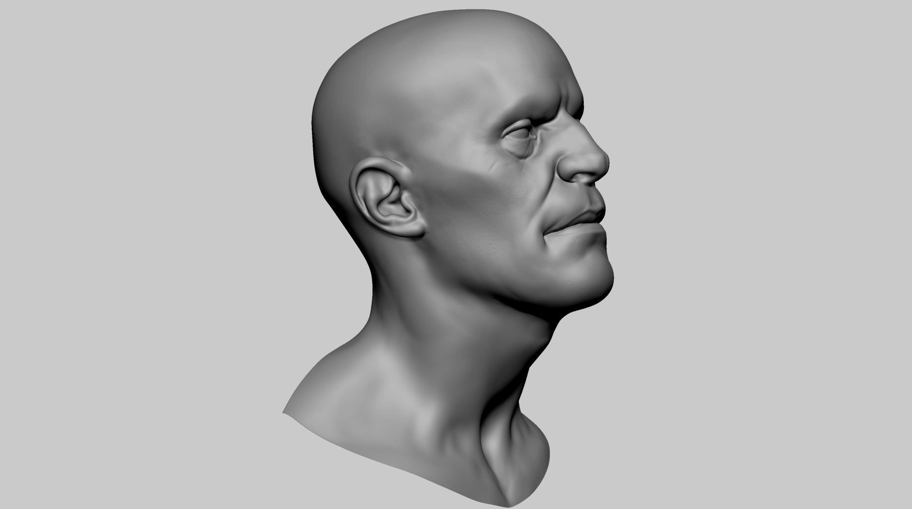 Male Head v7 3D model_1