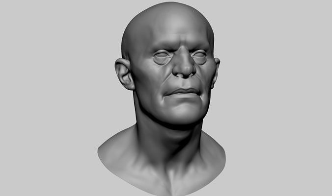 Male Head v7 3D model