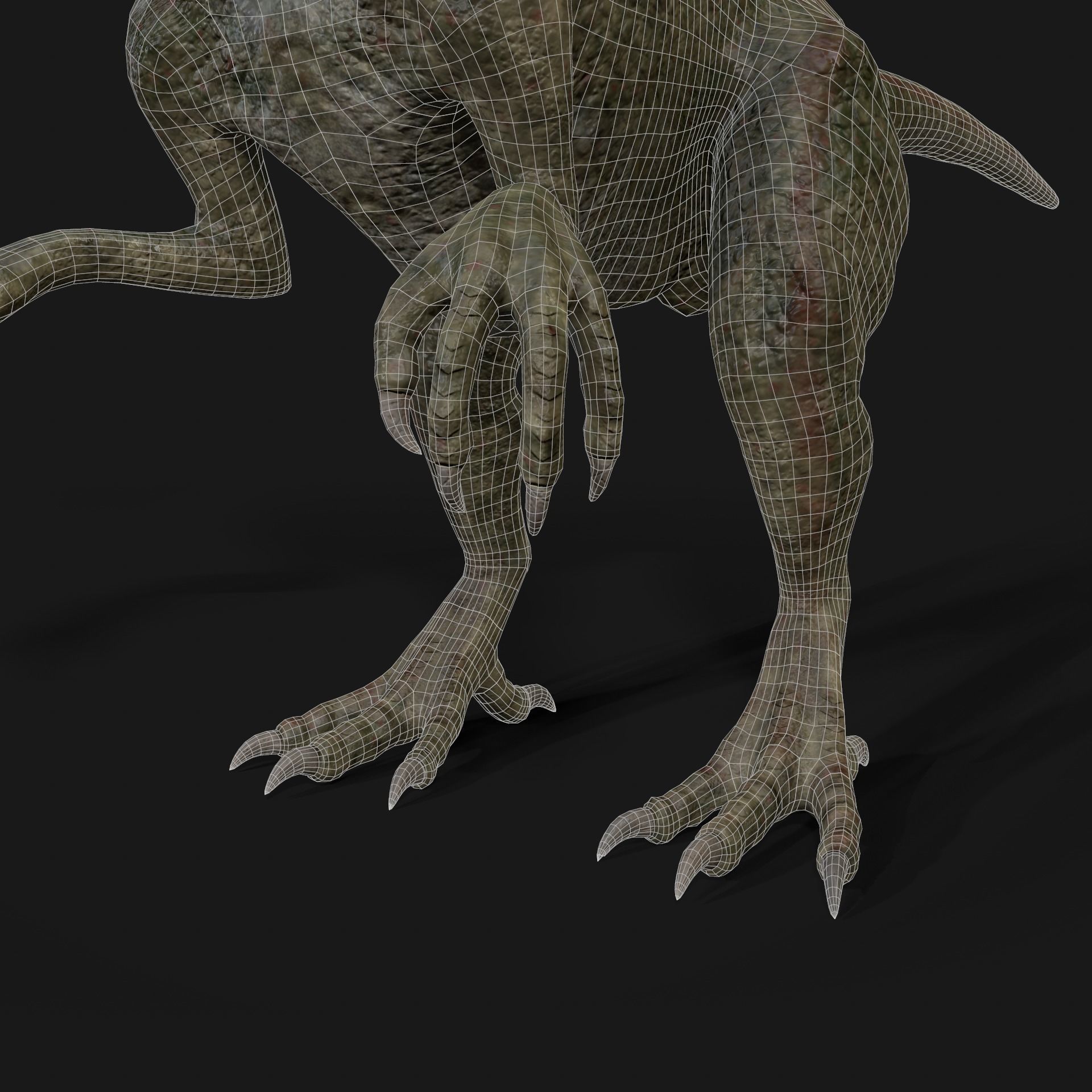 Dinosaurs Velociraptor Hybrid 3D model_16