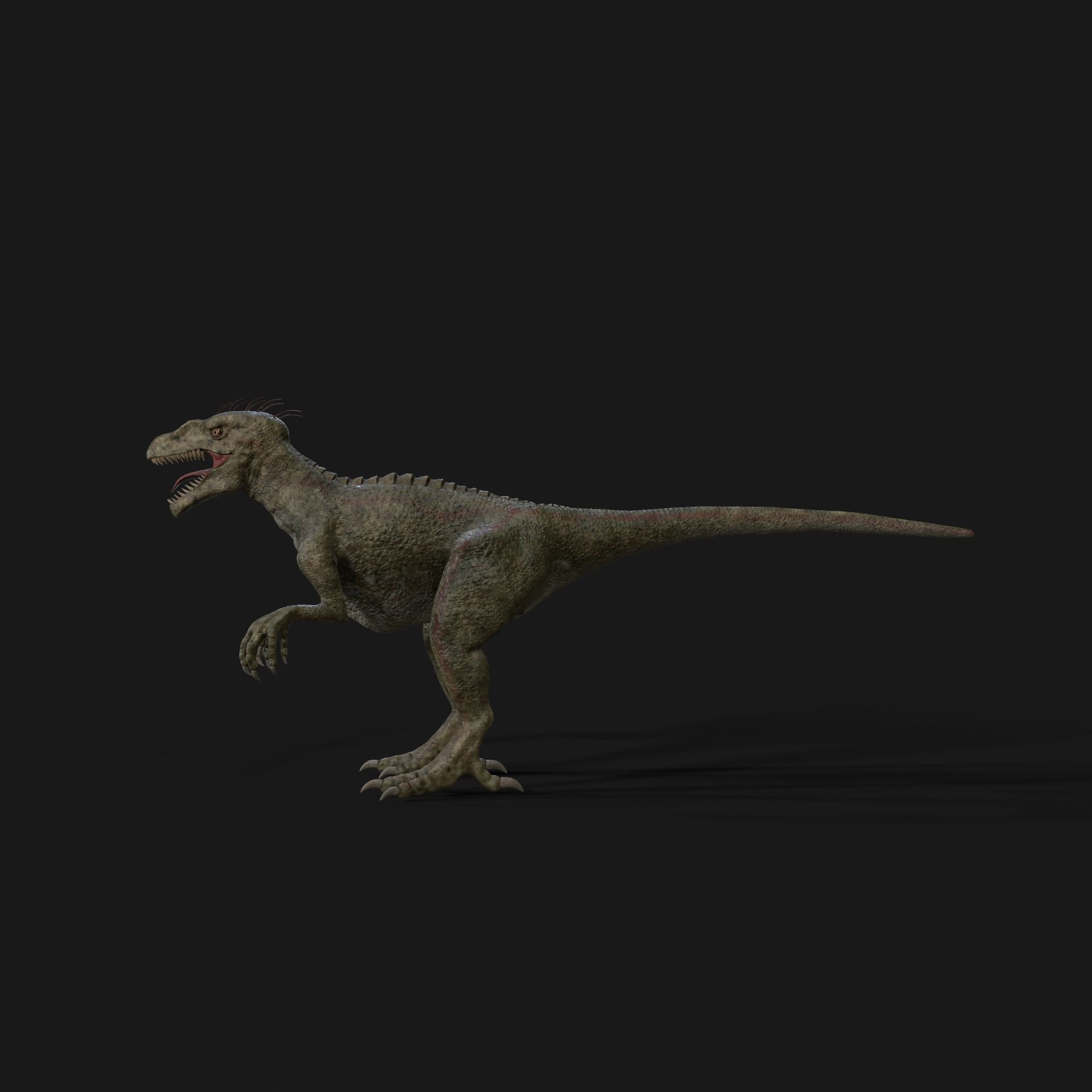 Dinosaurs Velociraptor Hybrid 3D model_2