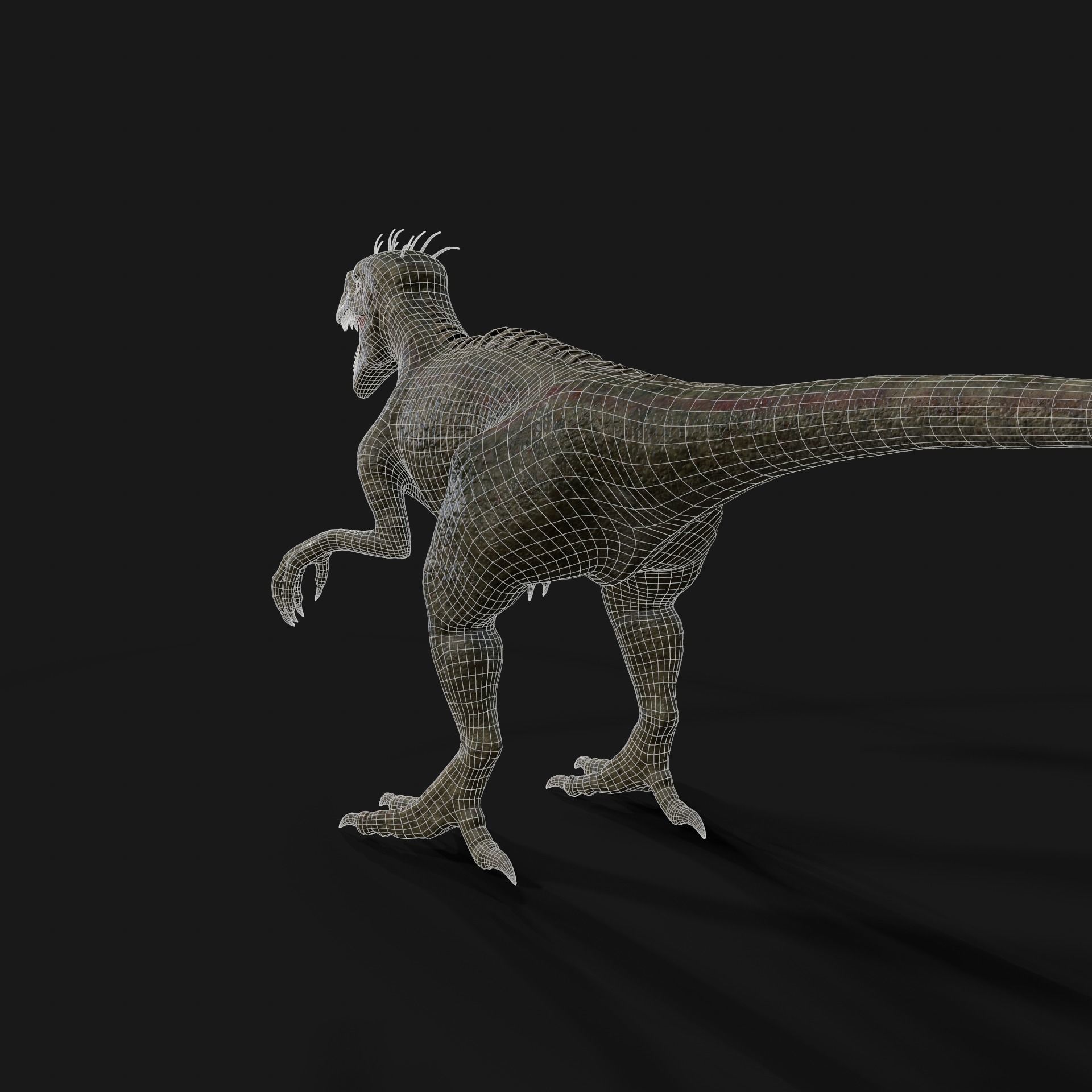Dinosaurs Velociraptor Hybrid 3D model_15