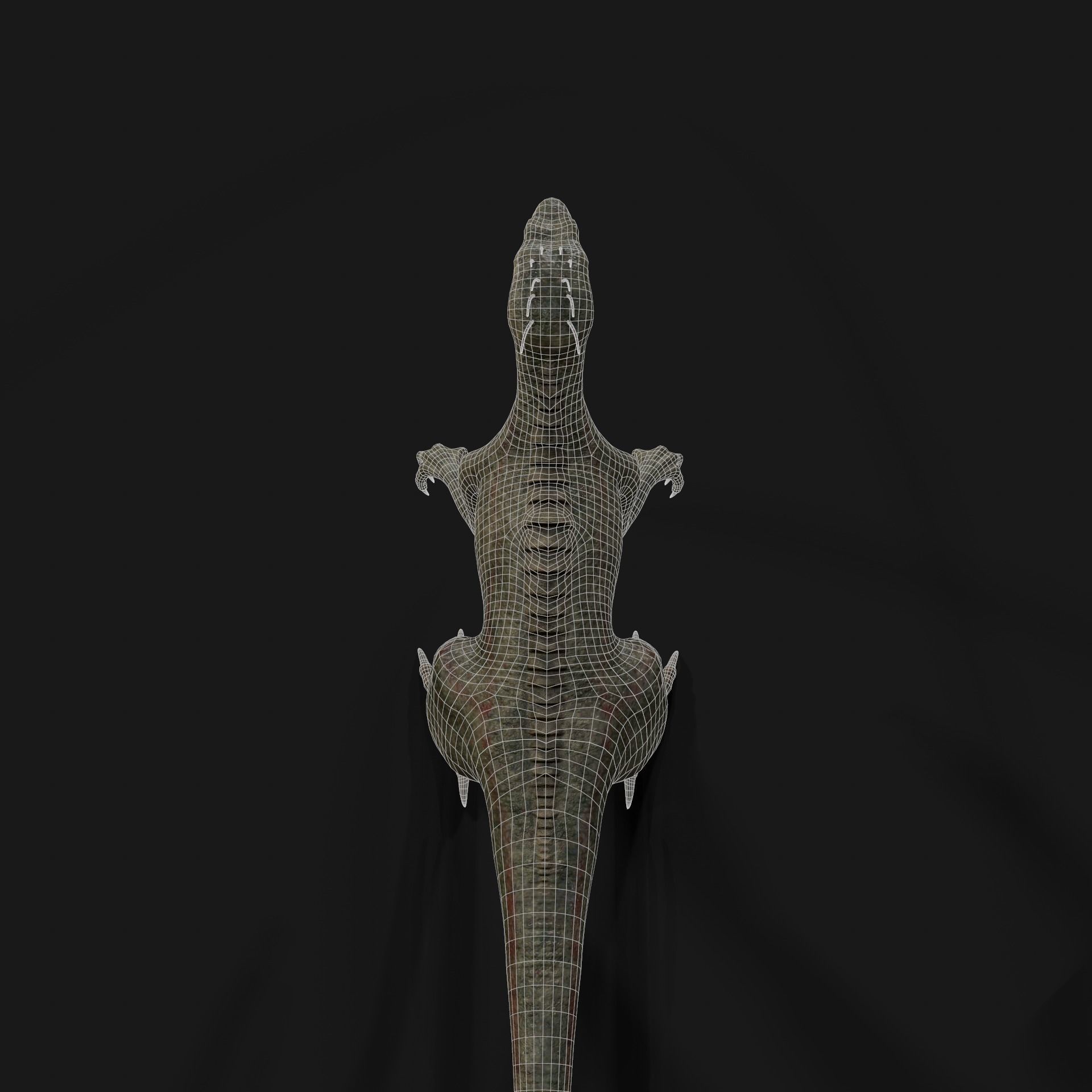 Dinosaurs Velociraptor Hybrid 3D model_13