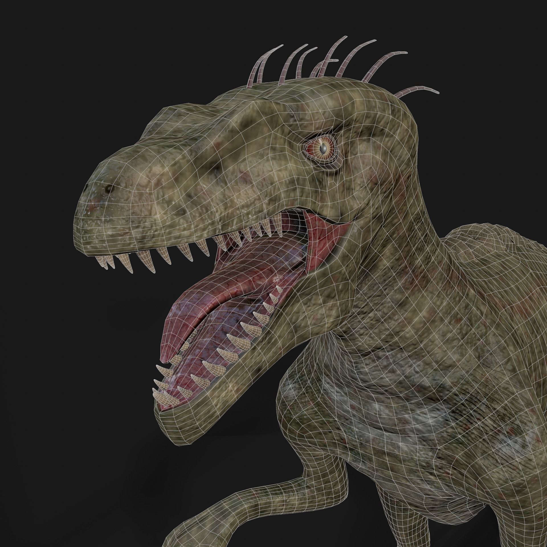 Dinosaurs Velociraptor Hybrid 3D model_14