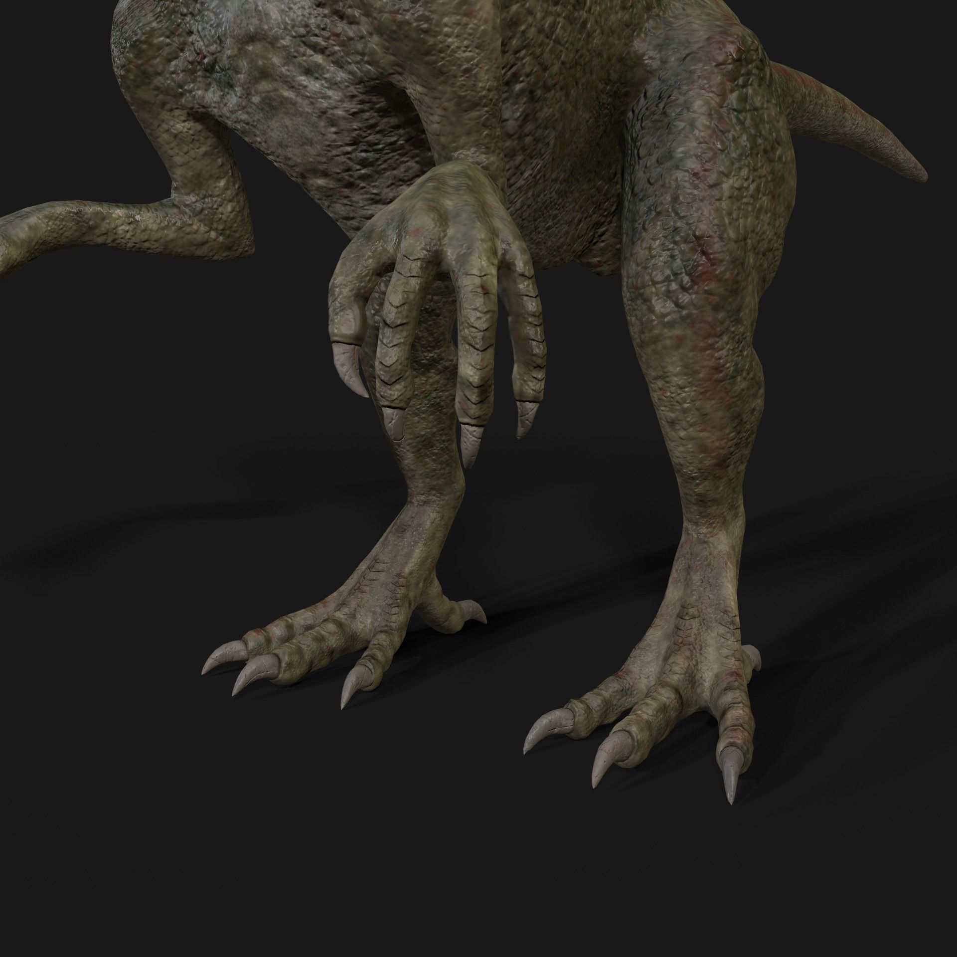 Dinosaurs Velociraptor Hybrid 3D model_7
