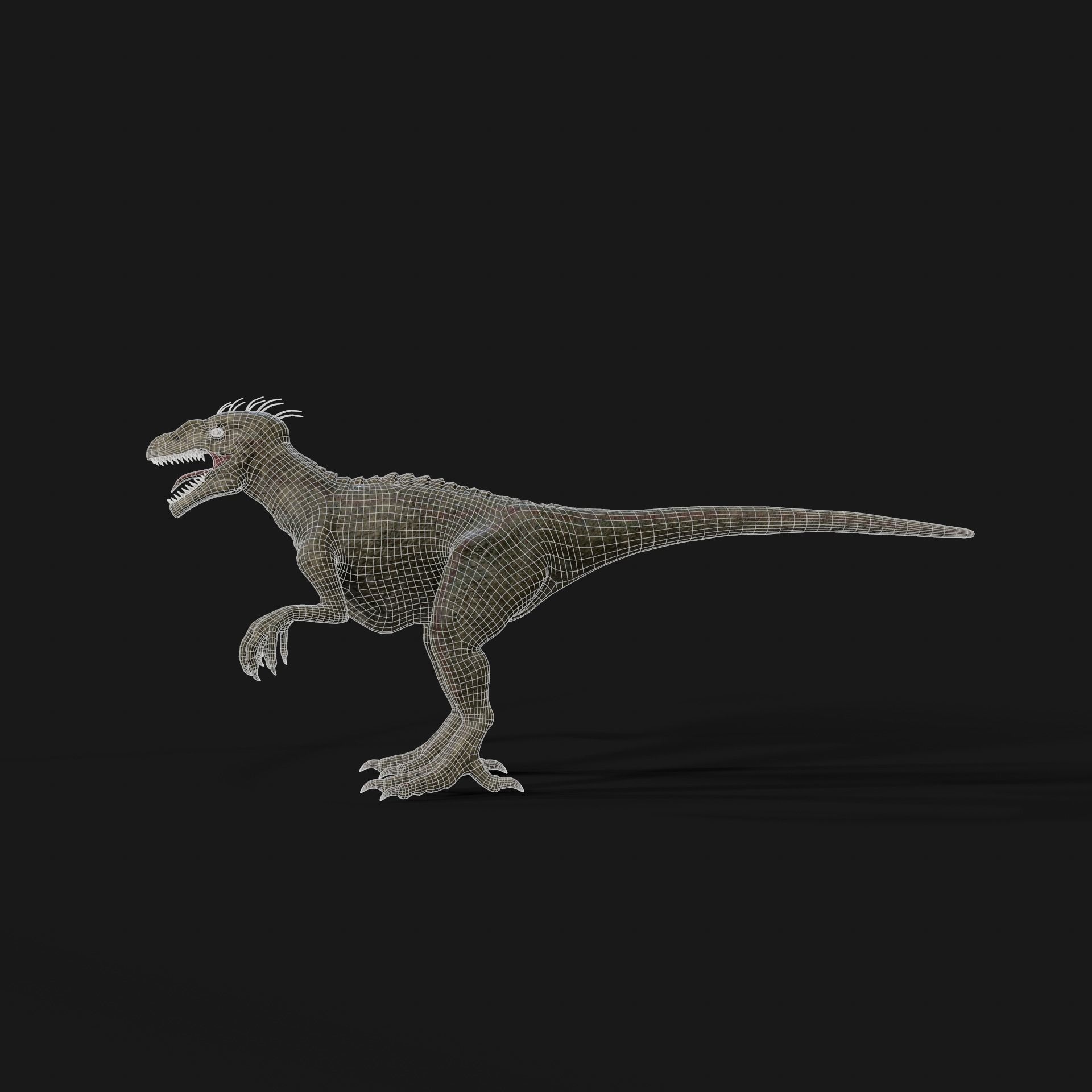 Dinosaurs Velociraptor Hybrid 3D model_9