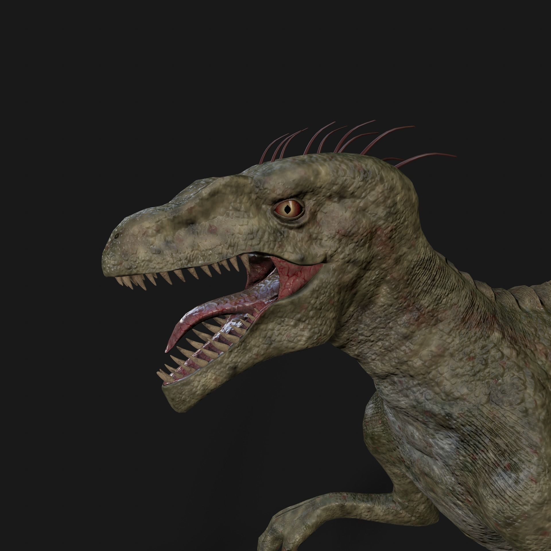 Dinosaurs Velociraptor Hybrid 3D model_3