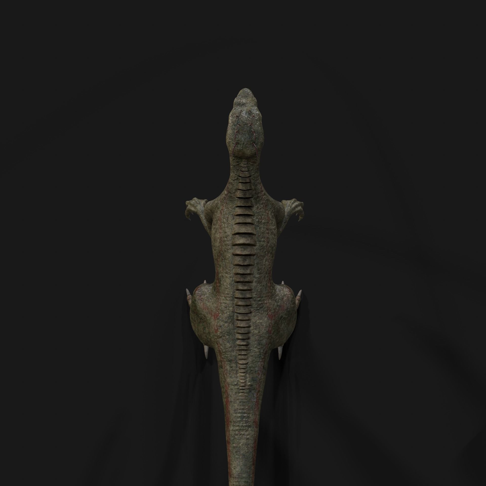 Dinosaurs Velociraptor Hybrid 3D model_4