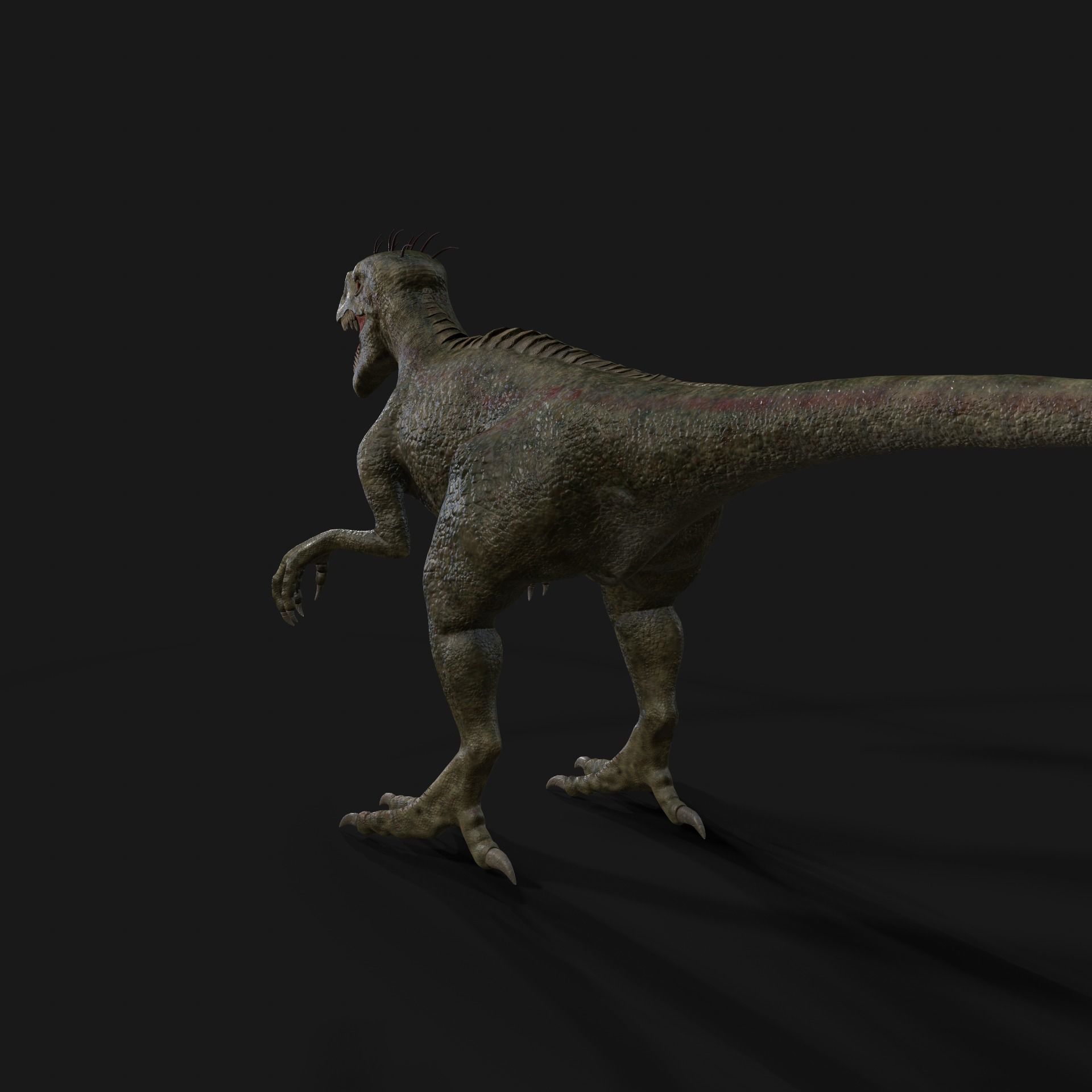 Dinosaurs Velociraptor Hybrid 3D model_8
