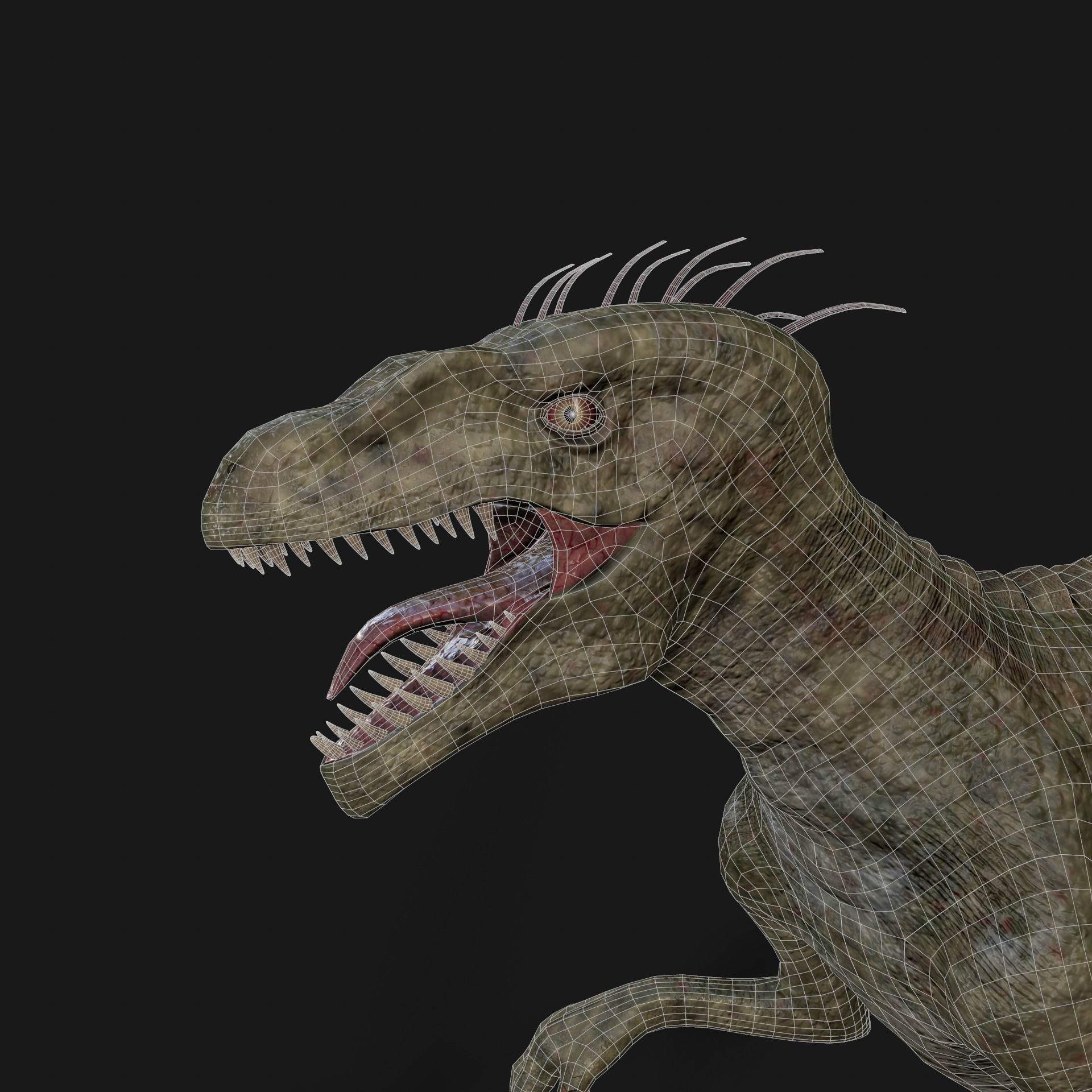 Dinosaurs Velociraptor Hybrid 3D model_12