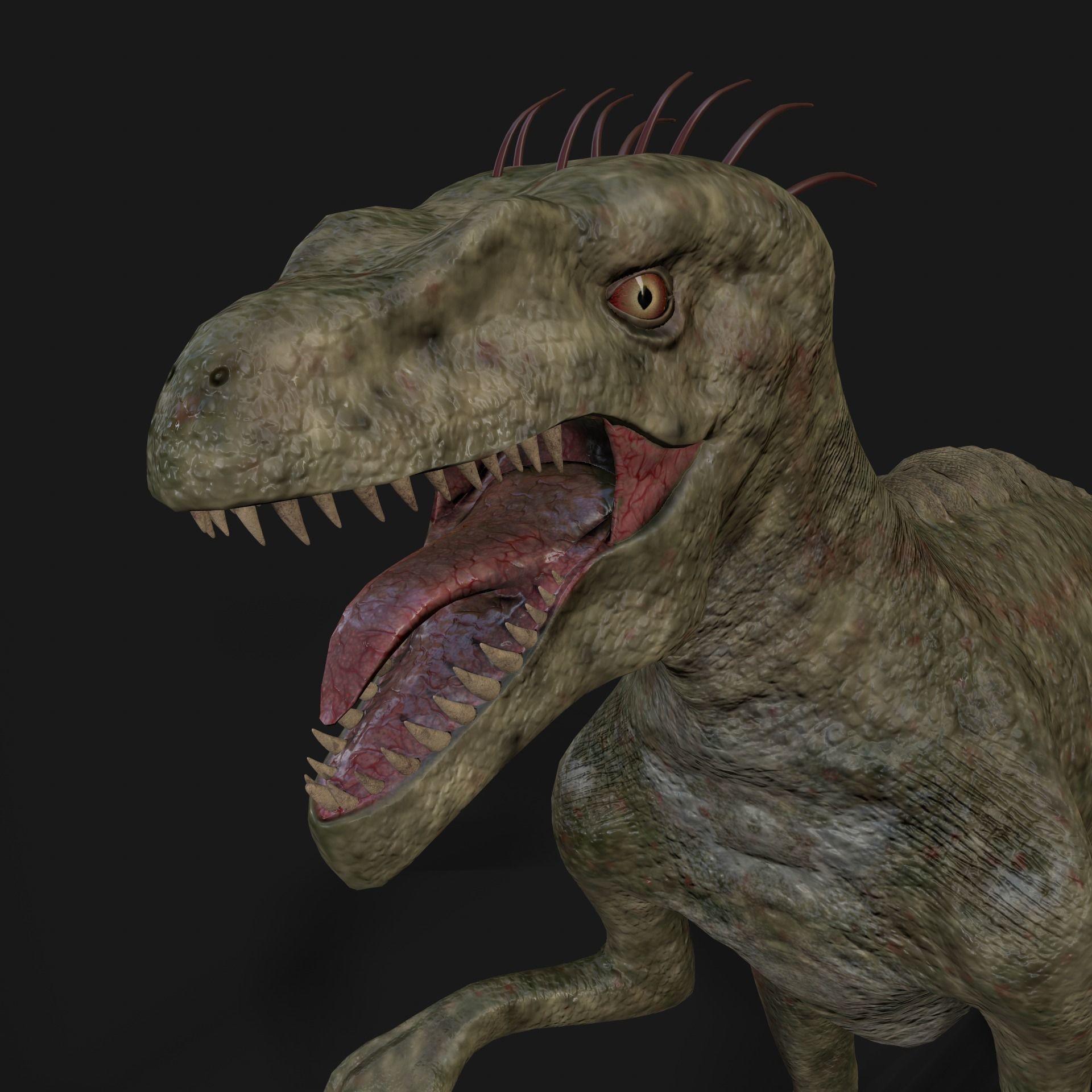 Dinosaurs Velociraptor Hybrid 3D model_5