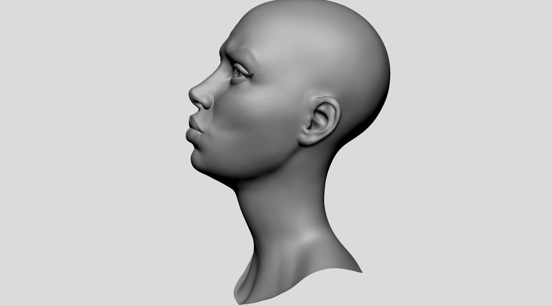 Stylized Female Head v5 3D model_5