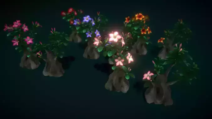 Flower Adenium Low-poly 3D model
