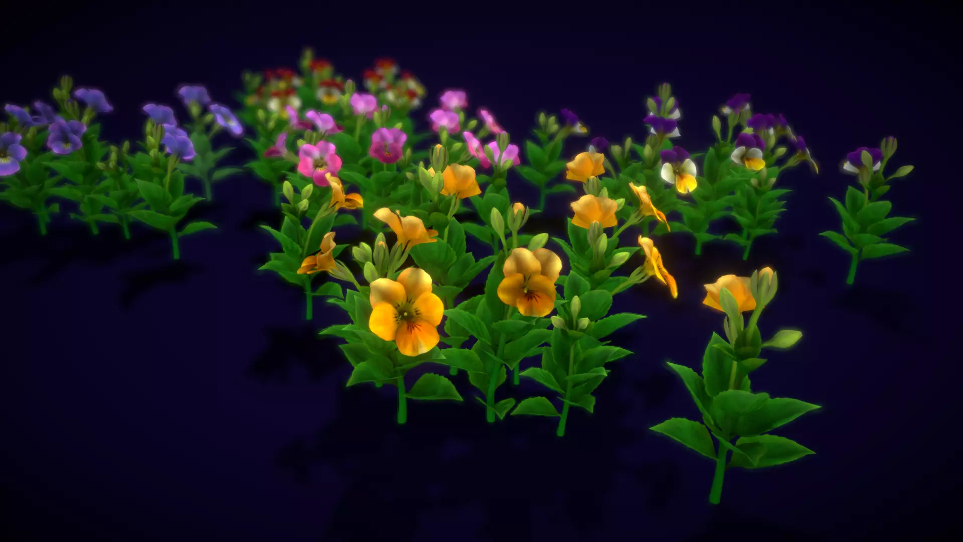 Flower Pansies Low-poly 3D model
