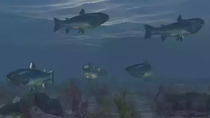 Fish Low poly Rigged 4K PBR Textures Game Ready  Low-poly 3D model